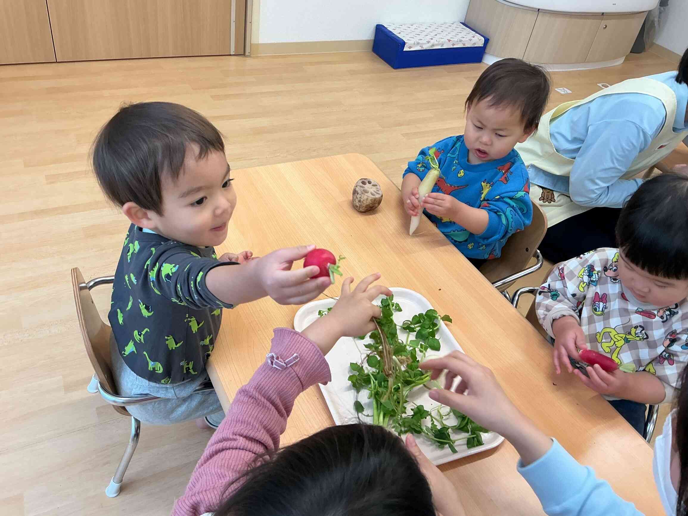 実際七草に触ってみたよ♪