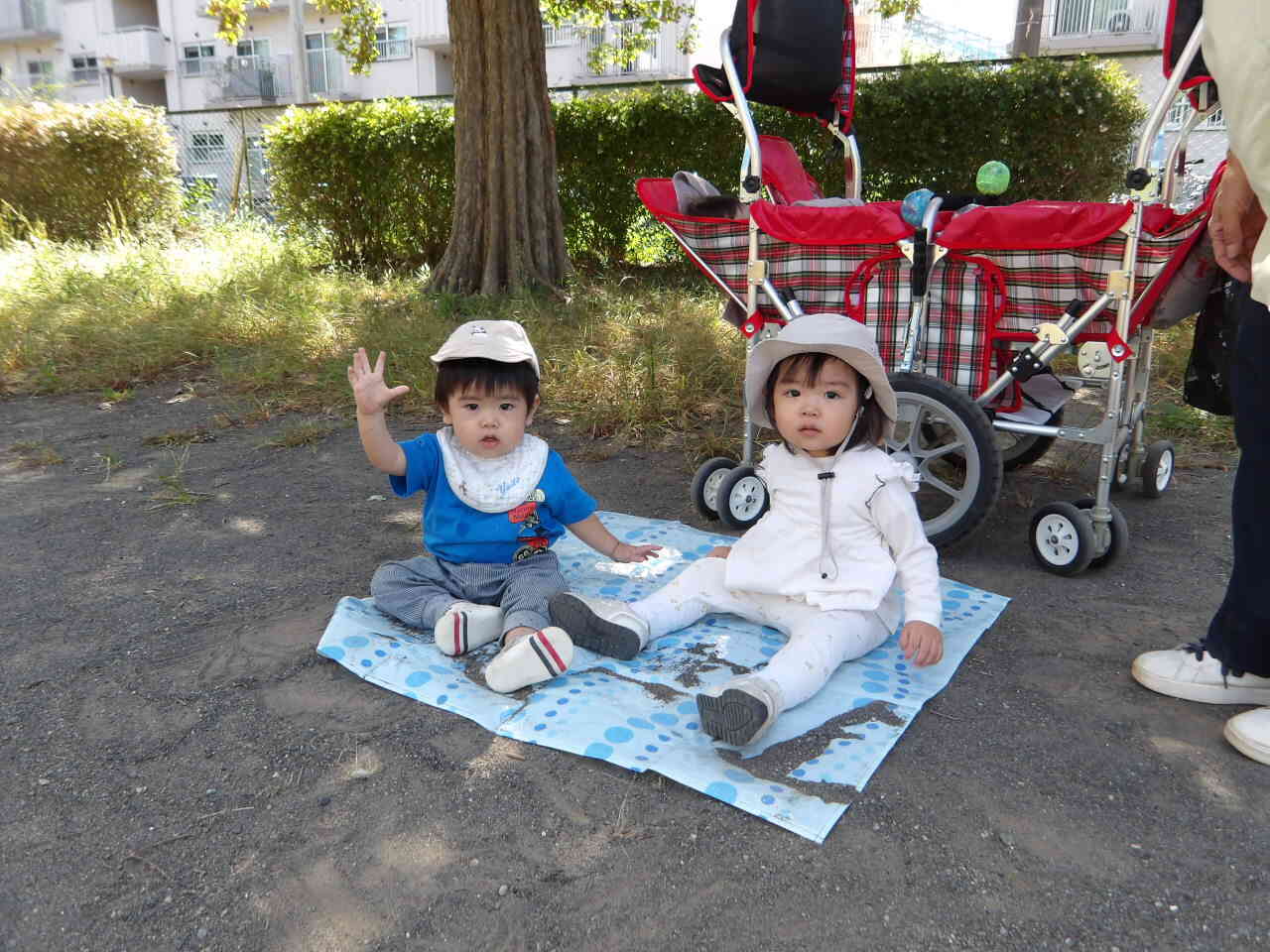 近くの公園にお散歩