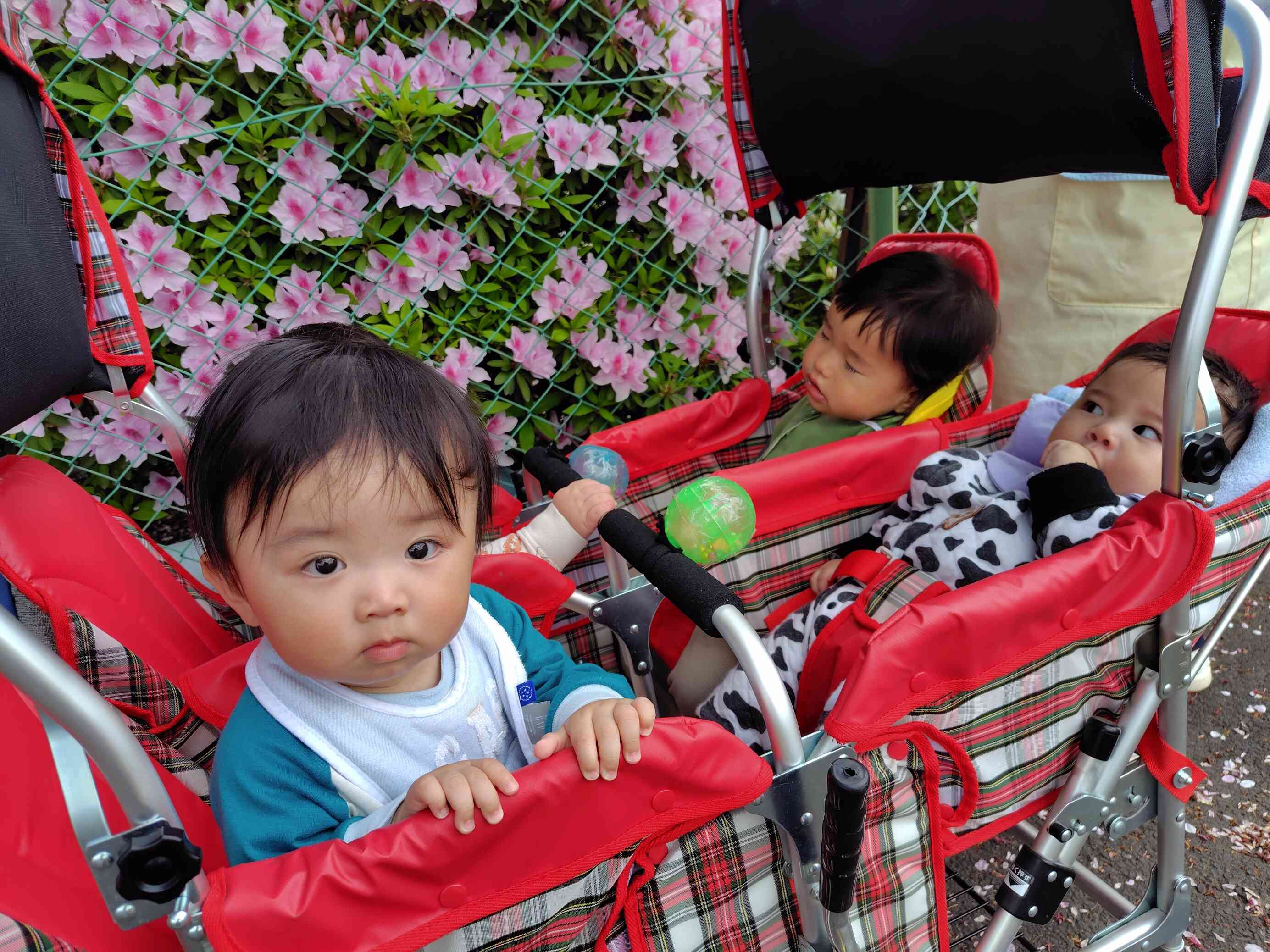 春探しのお散歩！