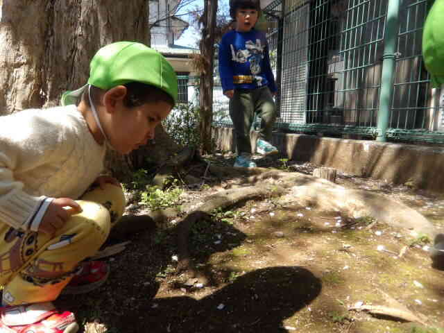 なにかいるのかな？