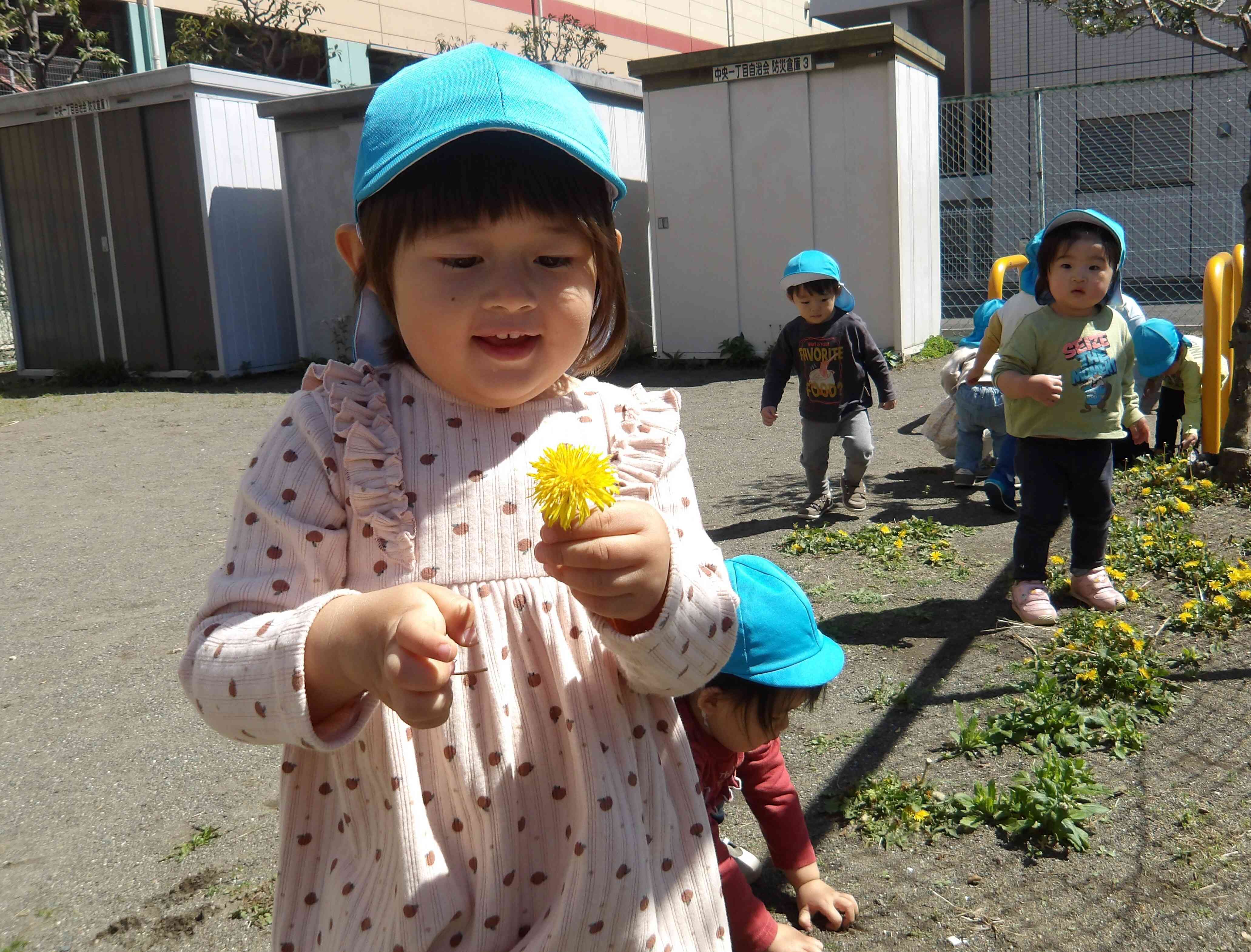 たんぽぽ見つけた♪