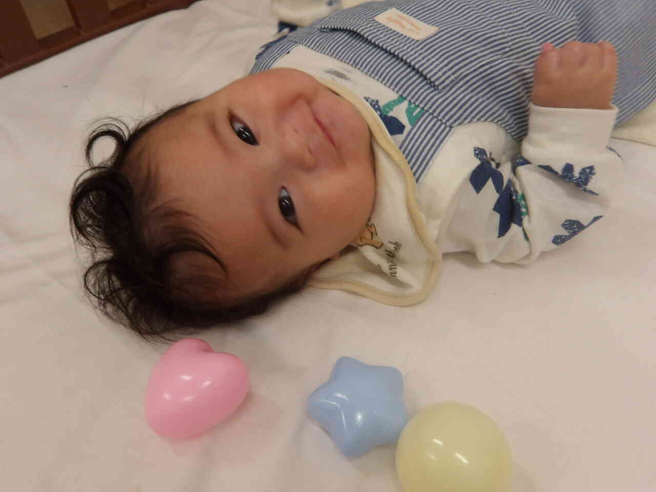 ひよこぐみの（０歳児）の新しいお友だち♡