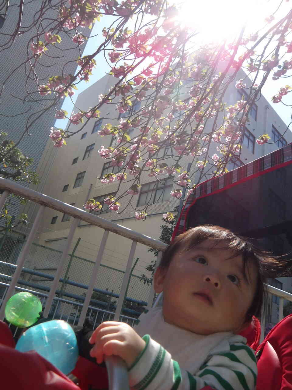 うえにもお花が咲いてるよ！