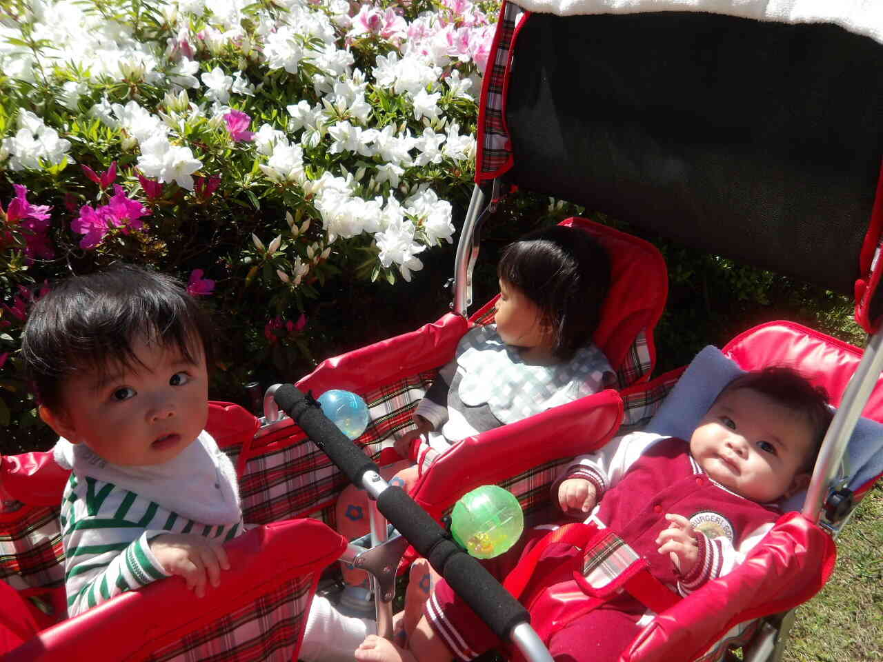 サツキみーつけた♪