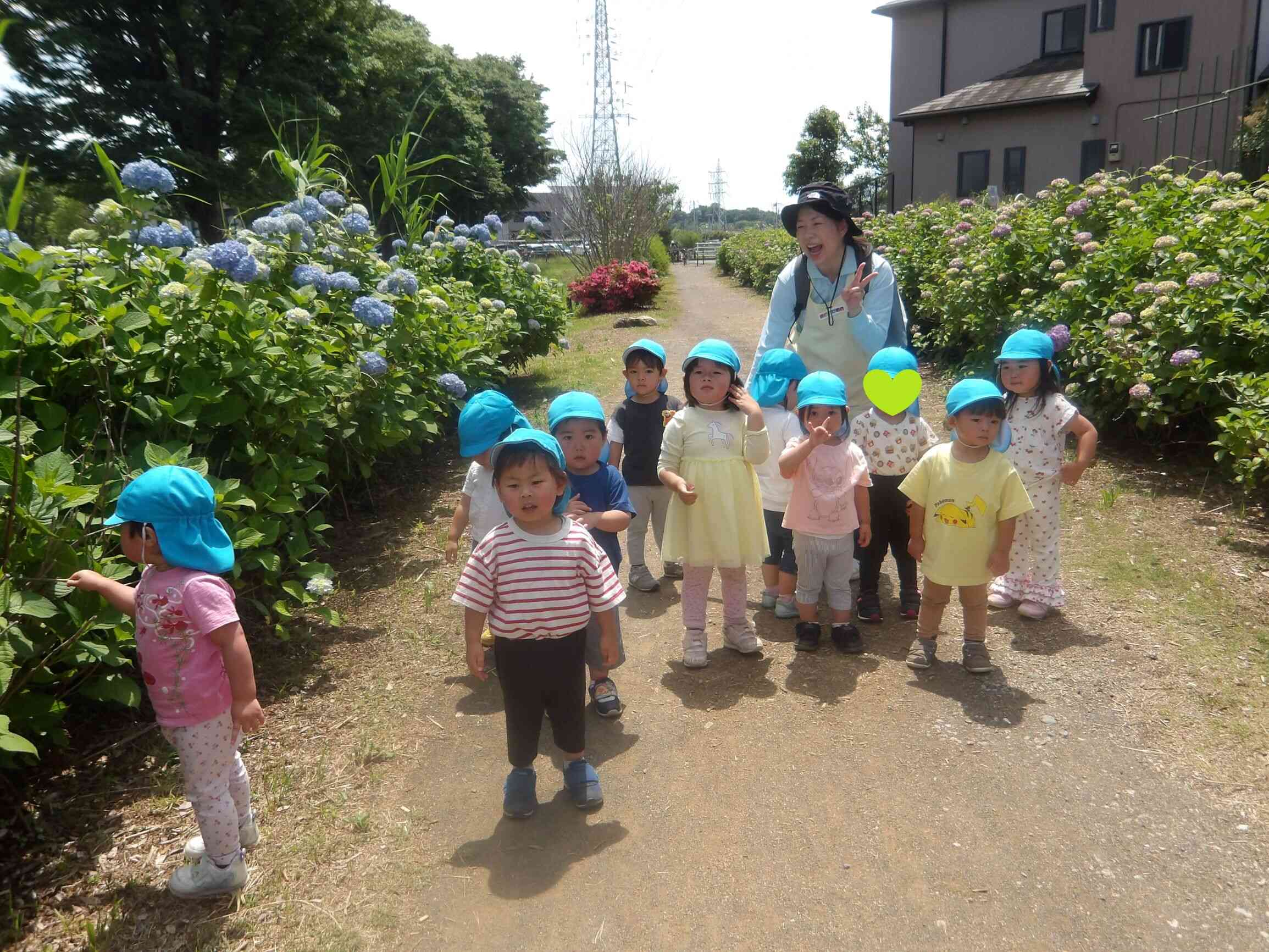 こっちにもあっちにも咲いてるね！