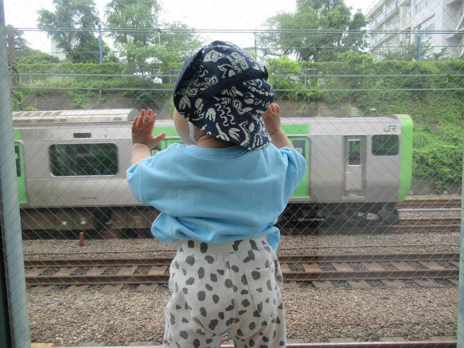 電車が見えるんだよ!(ひよこ組0歳児)