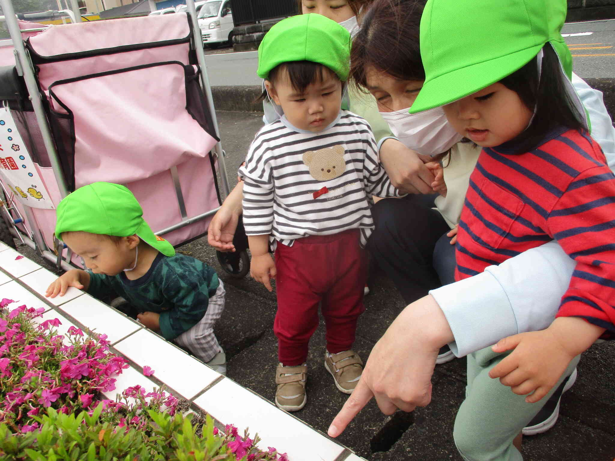いつもとは違う様子を見に・・・