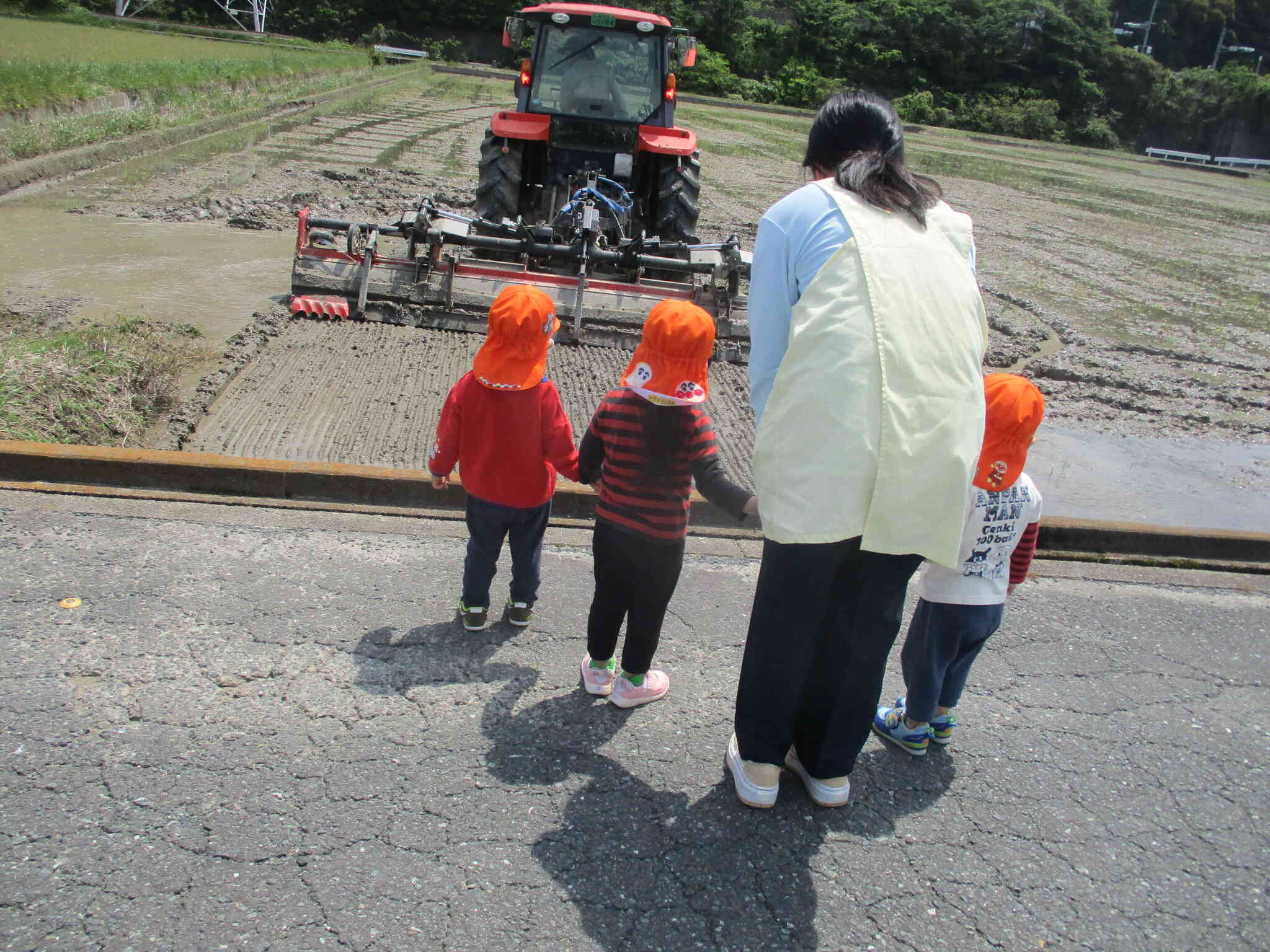田んぼを見学