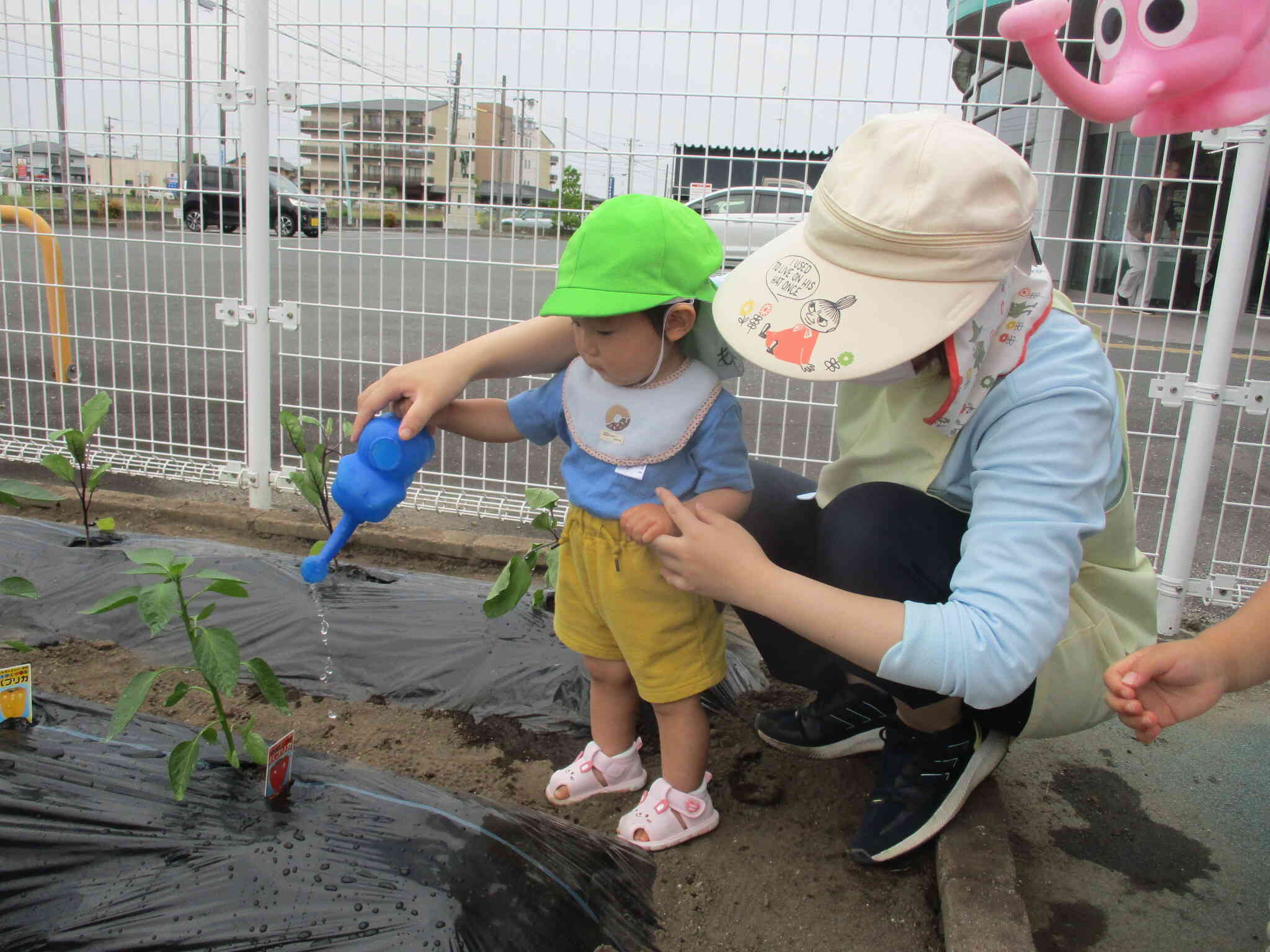 真剣な表情でお水をあげています！