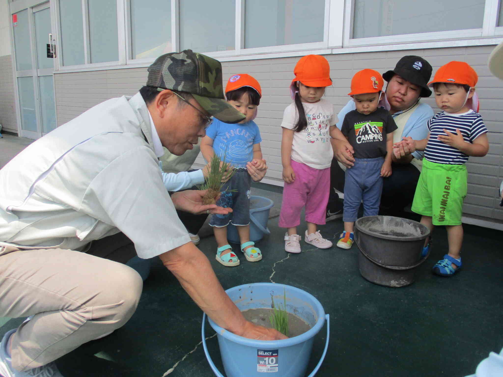 どうやって植えるのかな?