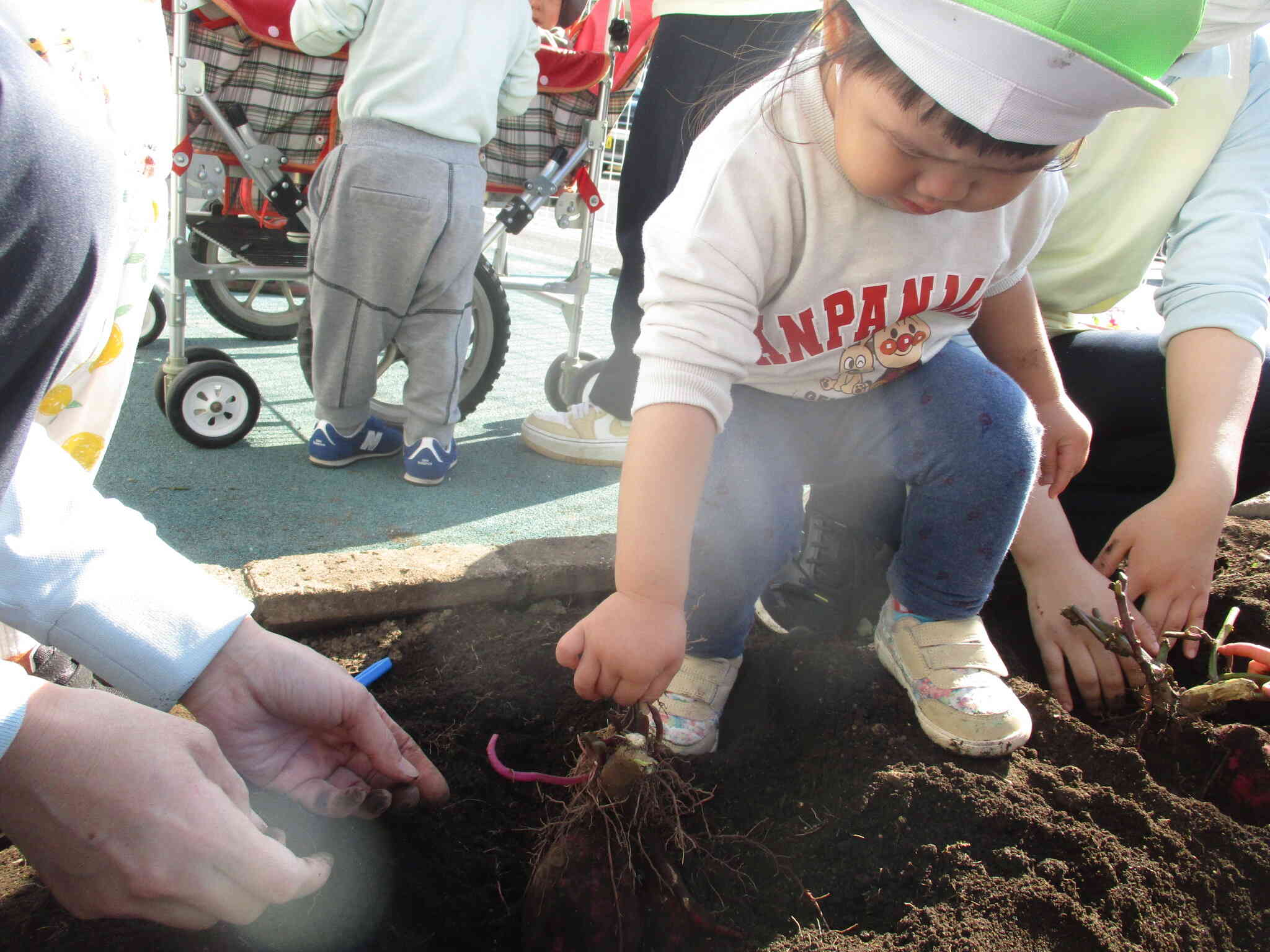 今年もこの季節がやってきました