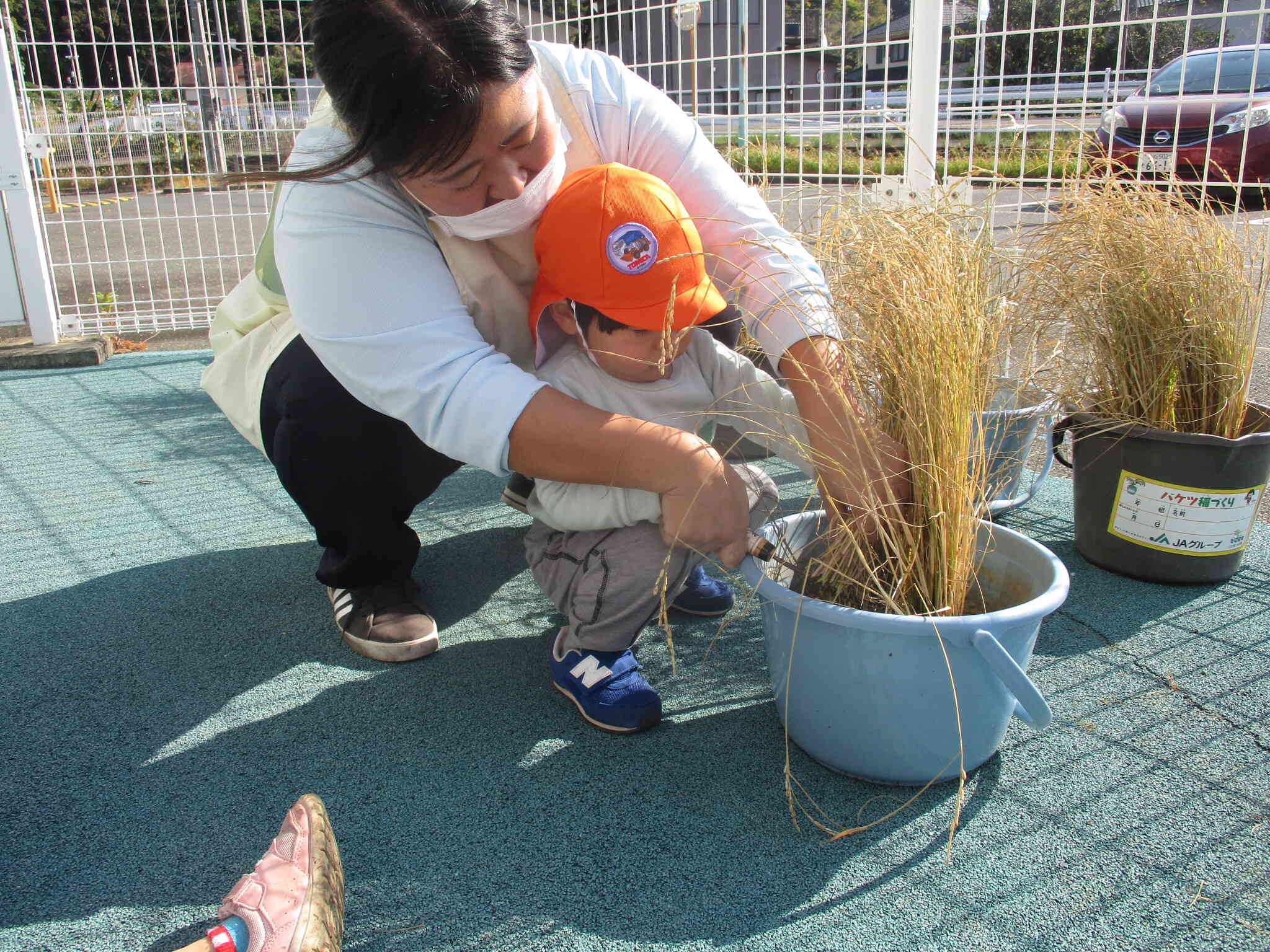 バケツ稲刈りもしました！