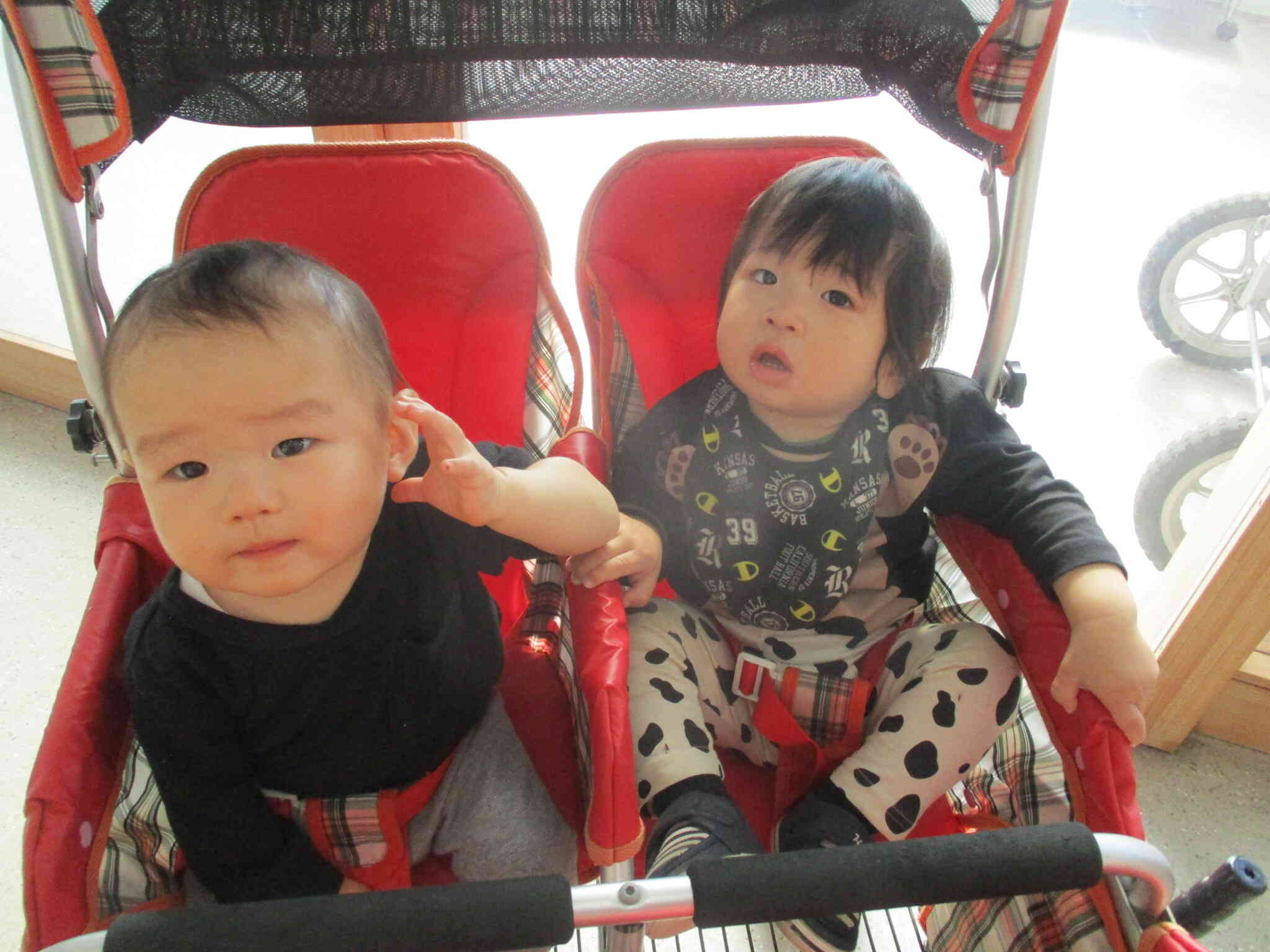 新しいお友だちが増えて・・・