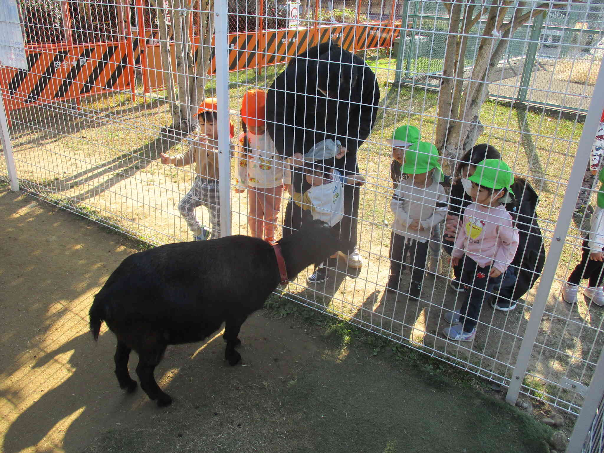 みんなで歩いて！