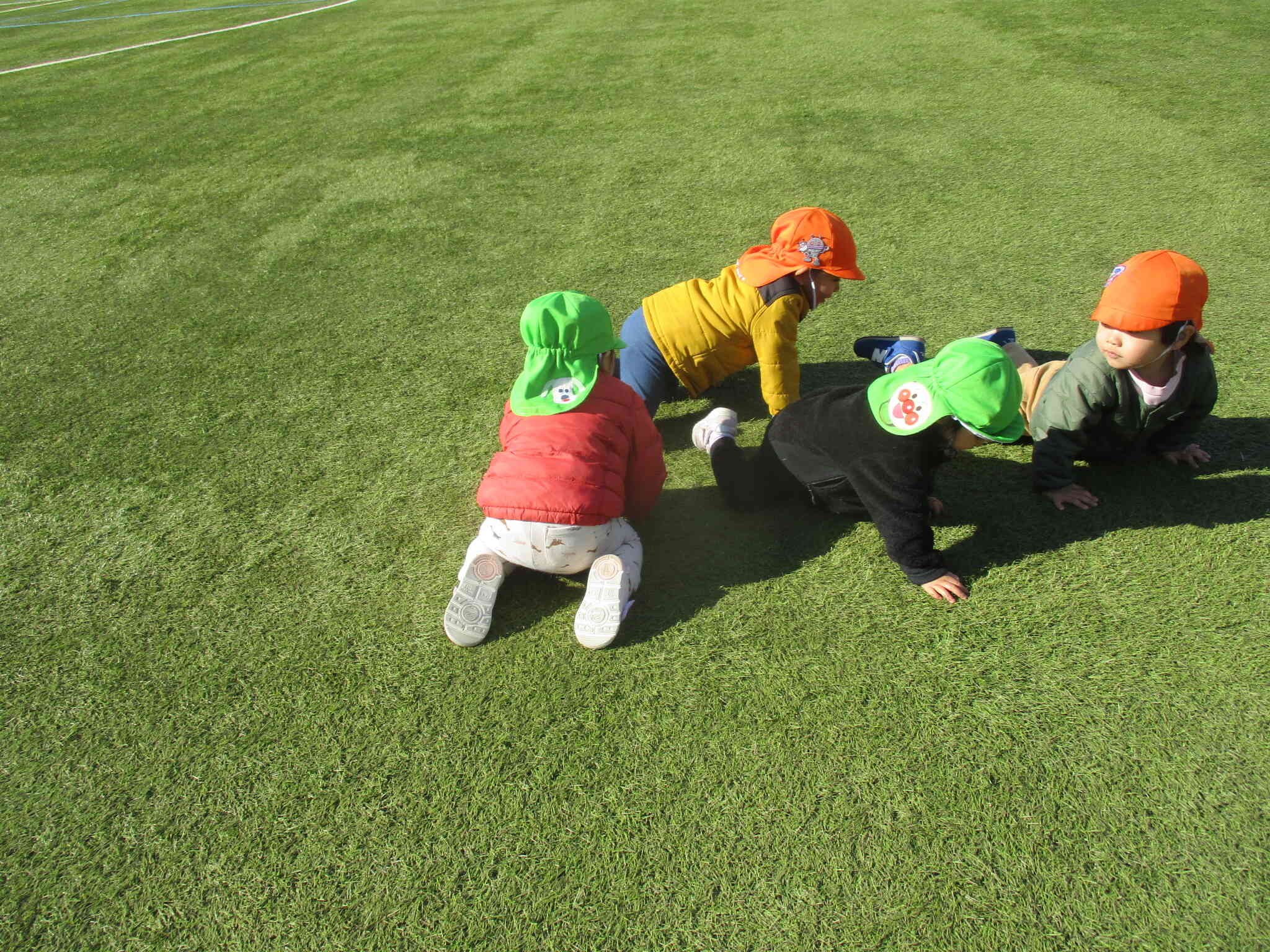 広い芝生は気持ちが良いね！