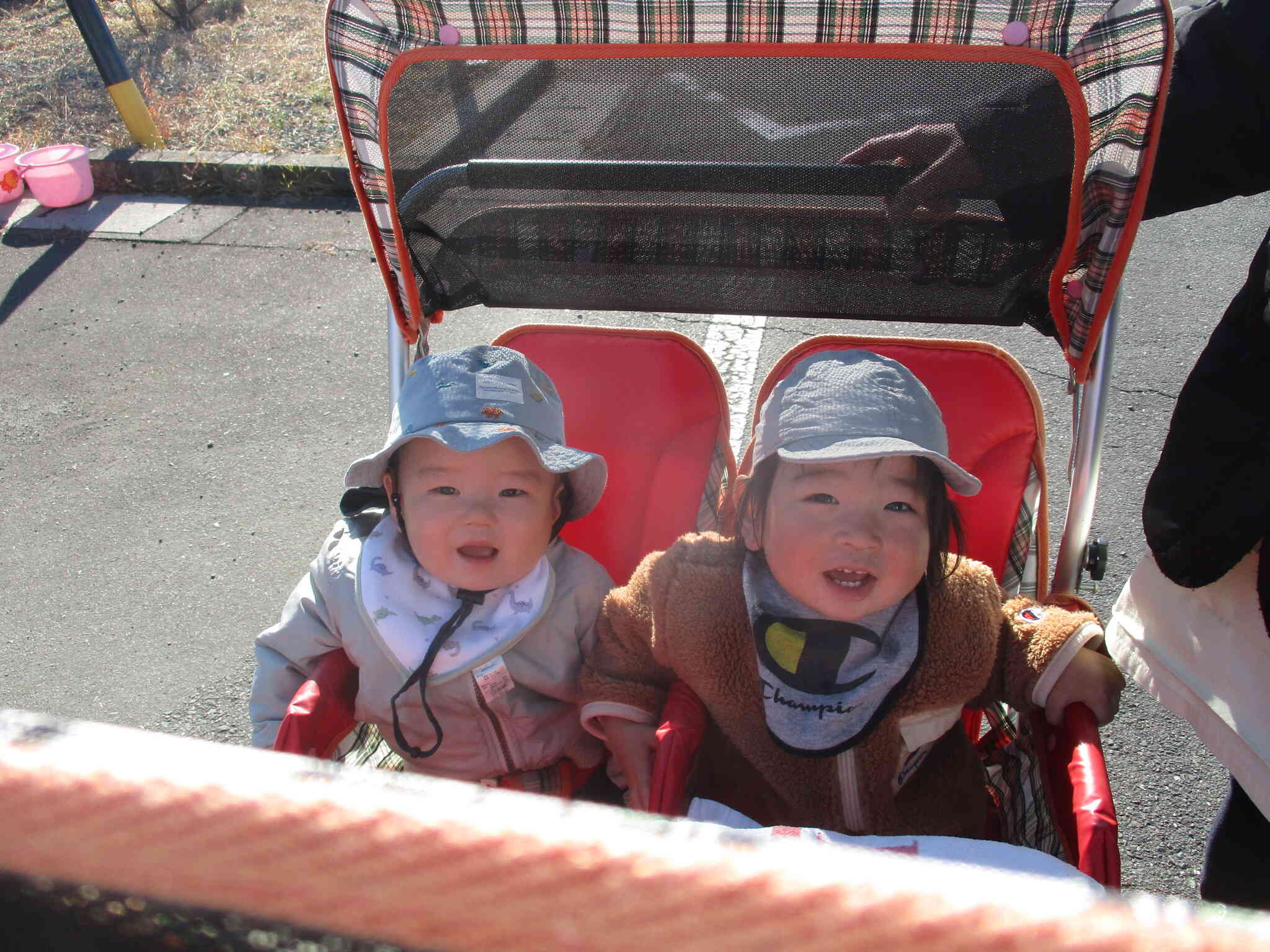 僕たちのお芋もあるー？