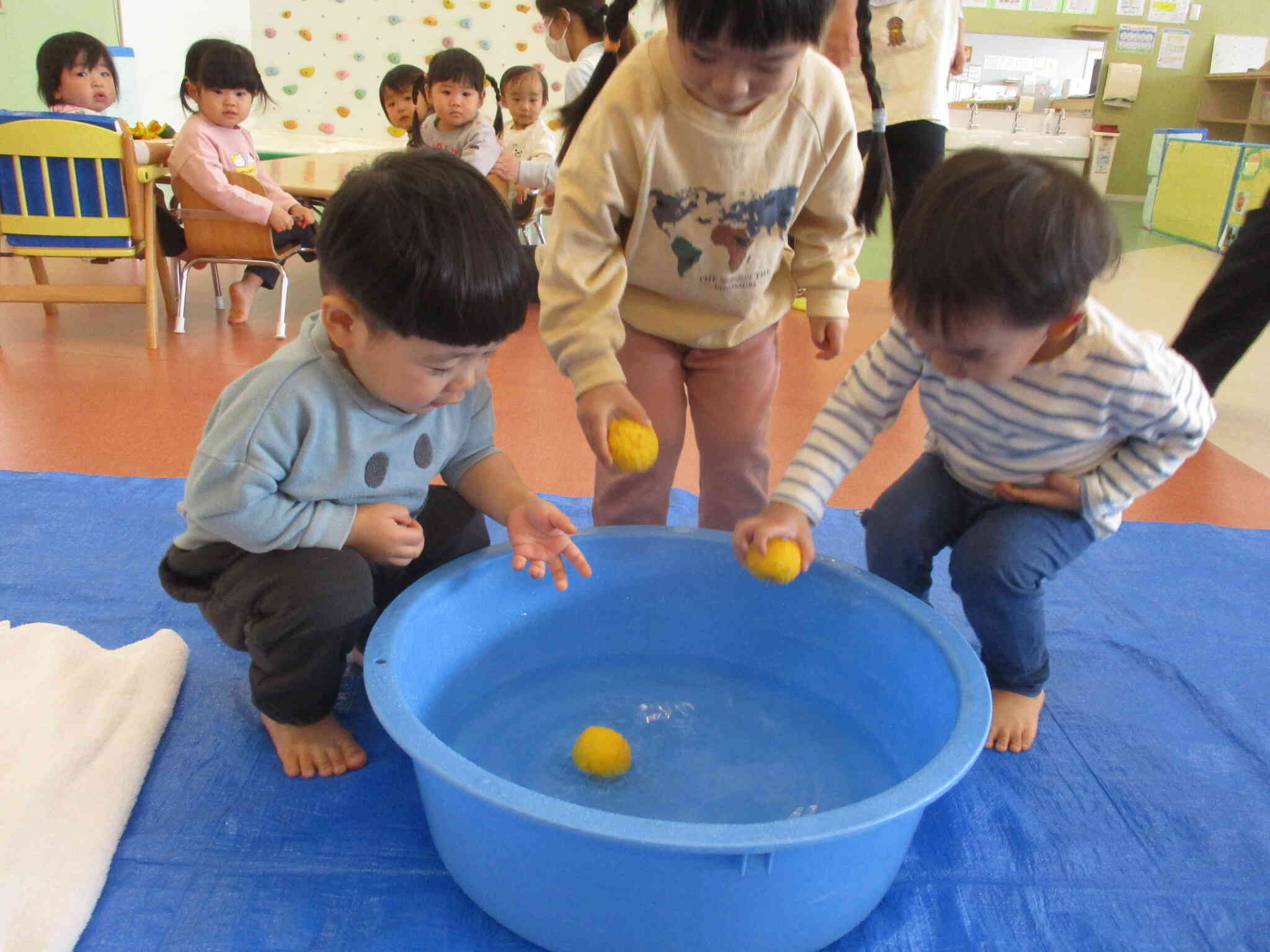 ゆずをちゃぽん♪