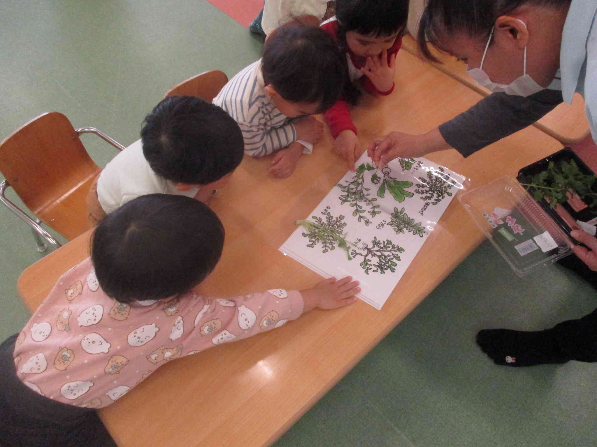 どれがどの草かな？