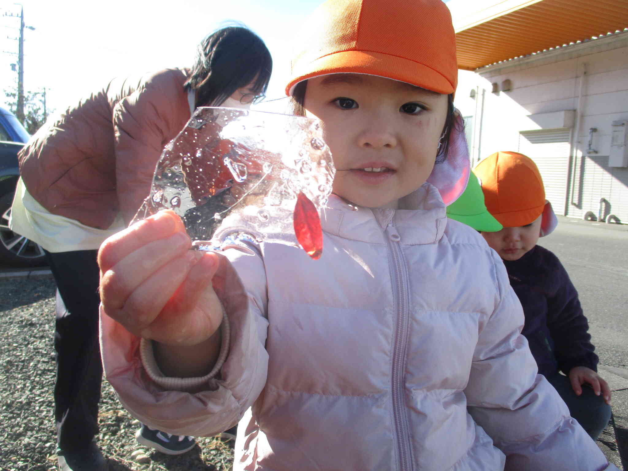 葉っぱも凍ったよ♪