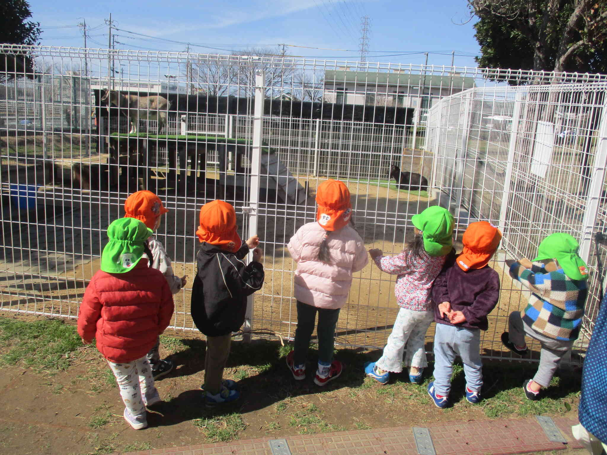 あんこちゃんときなこちゃんにまた会いに行きました！