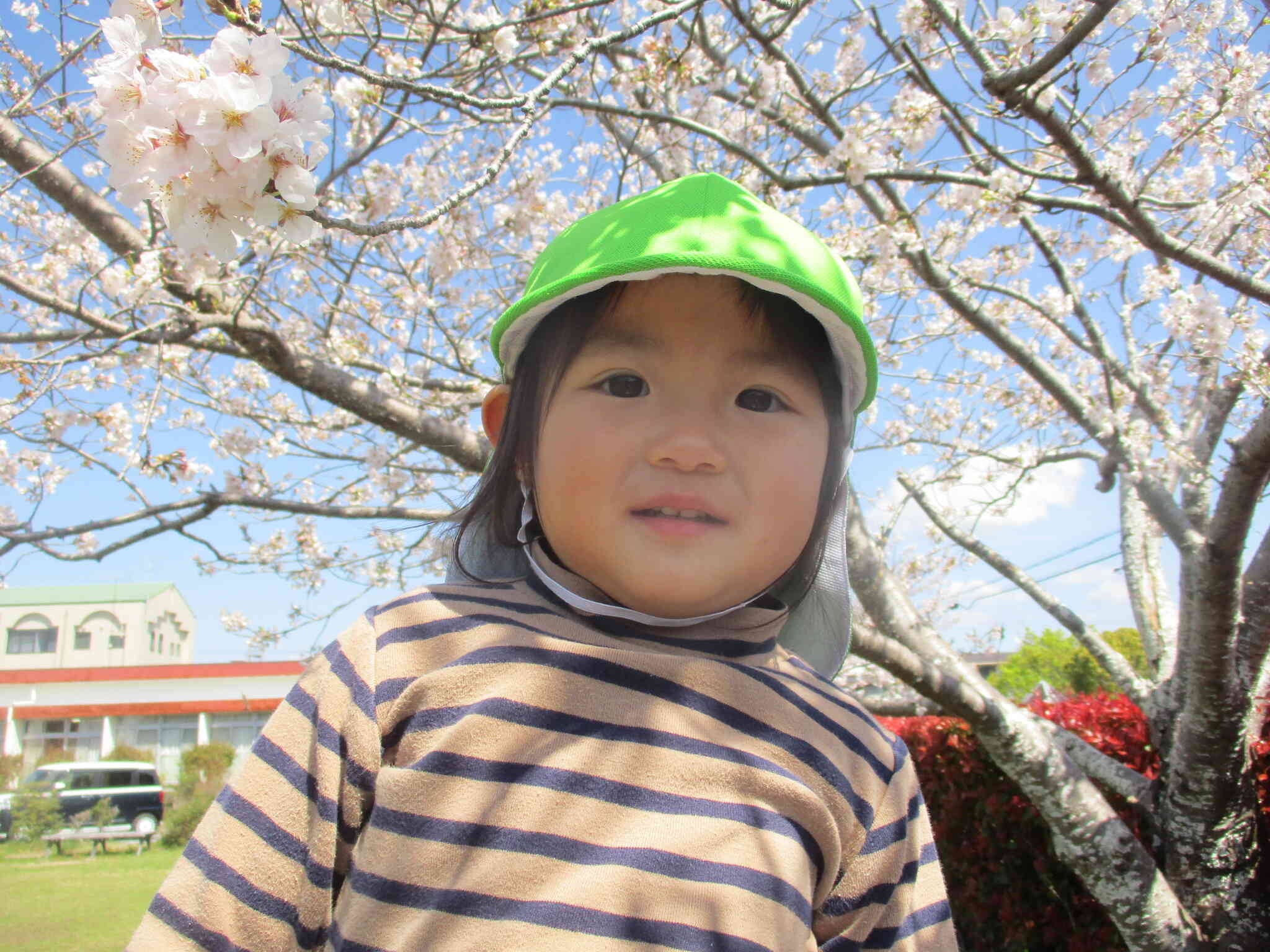 お花見に行きました！