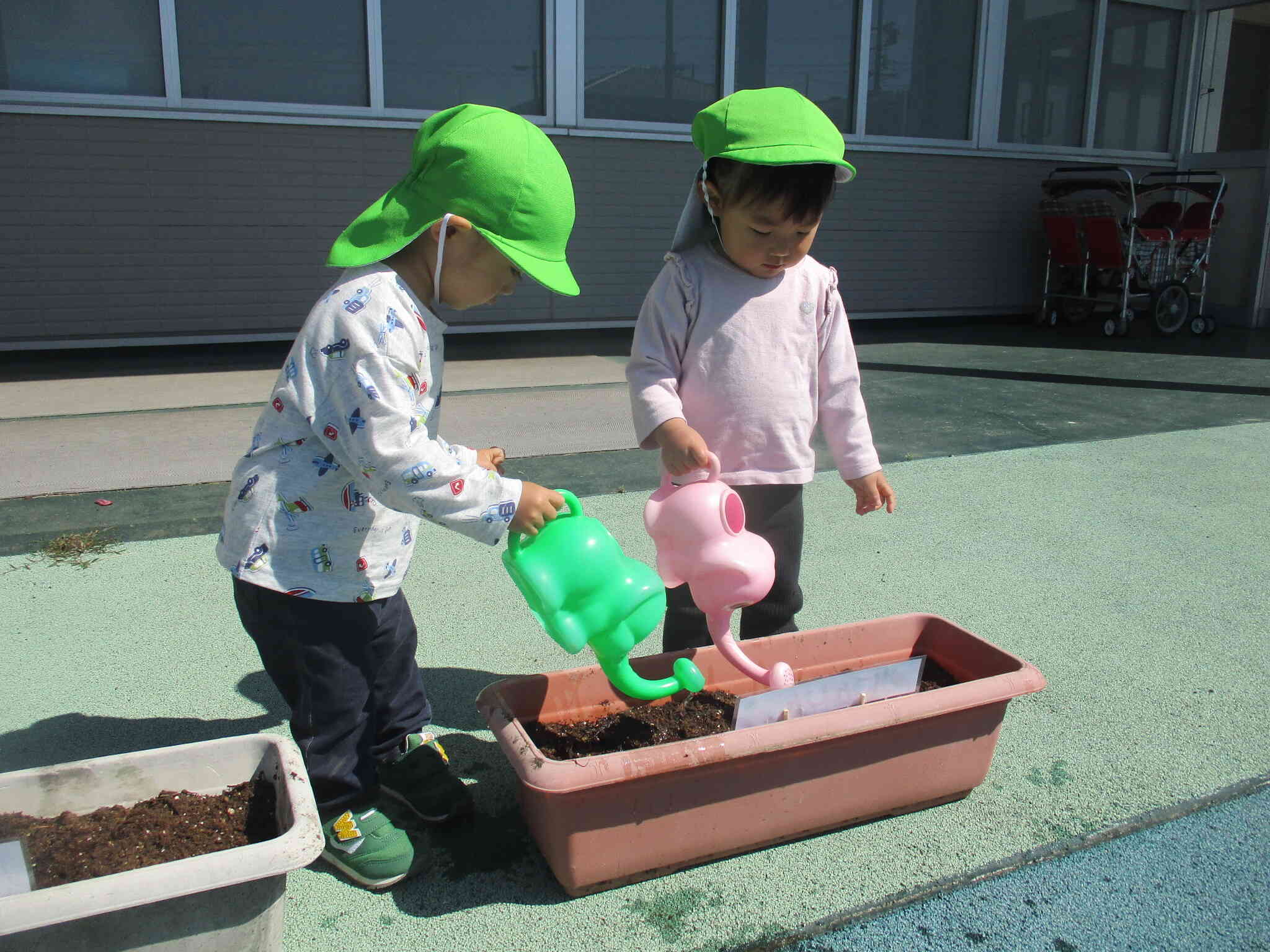 色々な野菜のタネを植えよう・・・