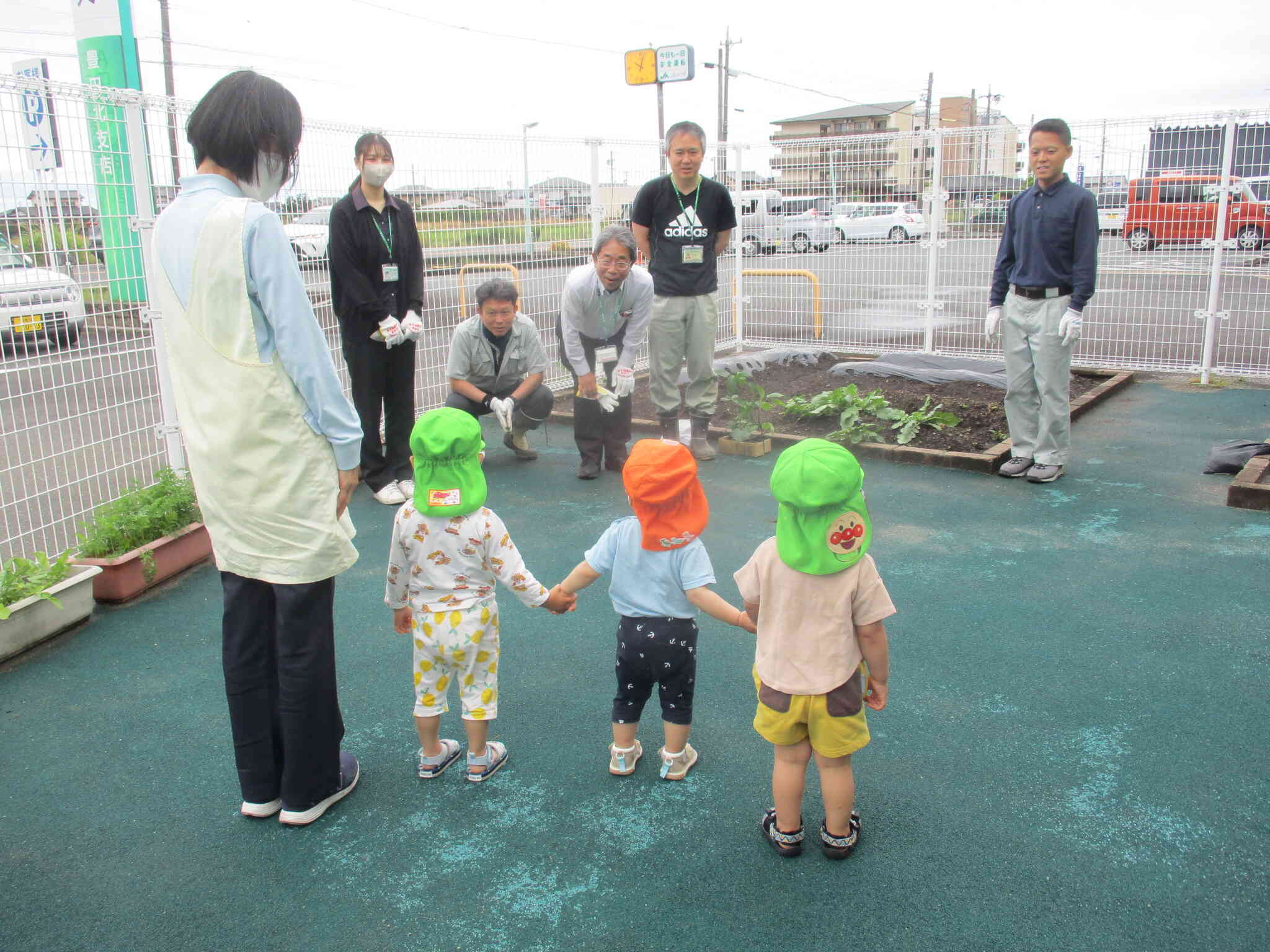野菜植え