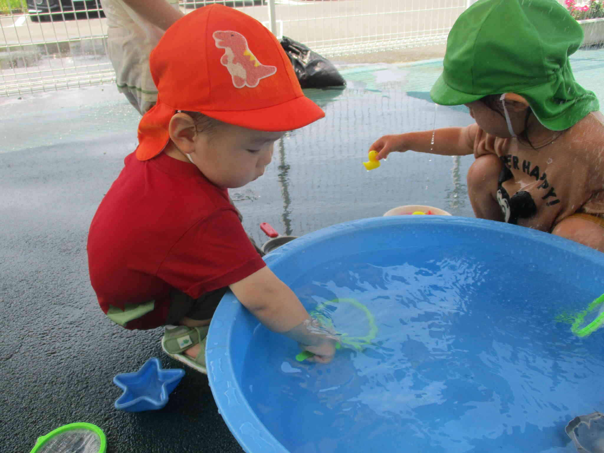 水遊びの季節がやってきました！