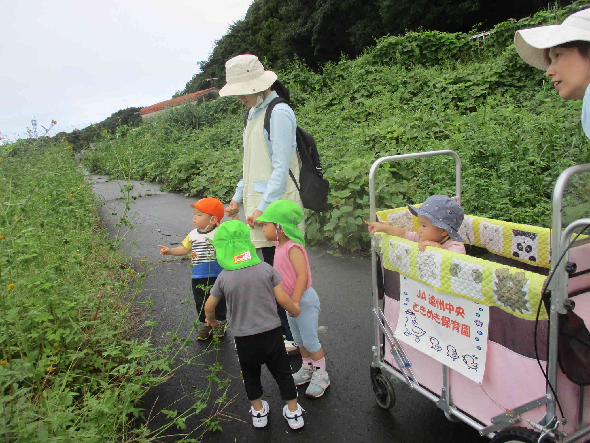 涼しい日が増えてお散歩にも出かけています♪