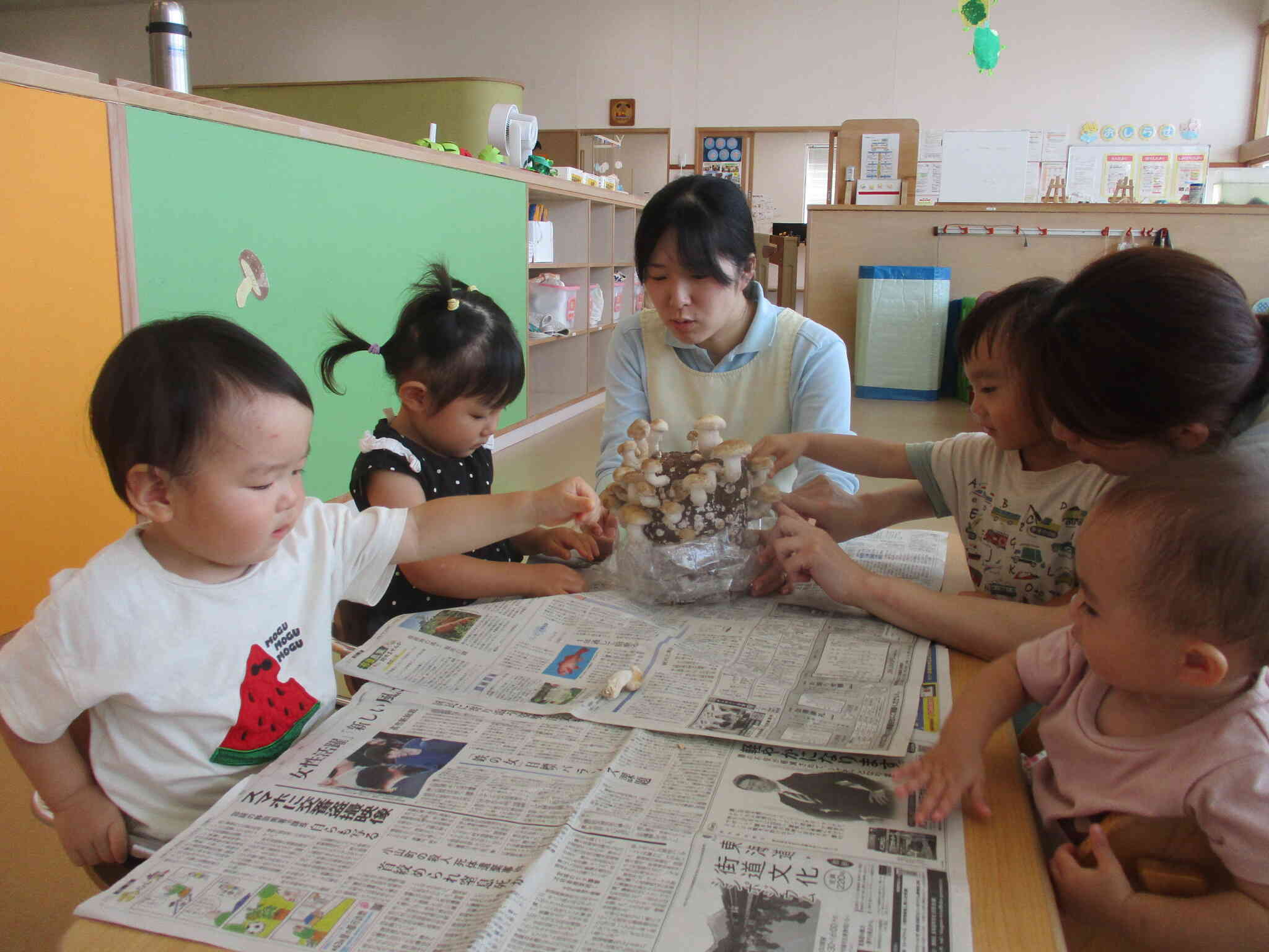 今年もキノコの栽培