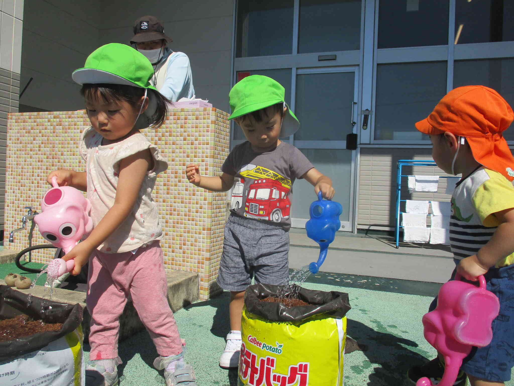 大きく育ちますように！