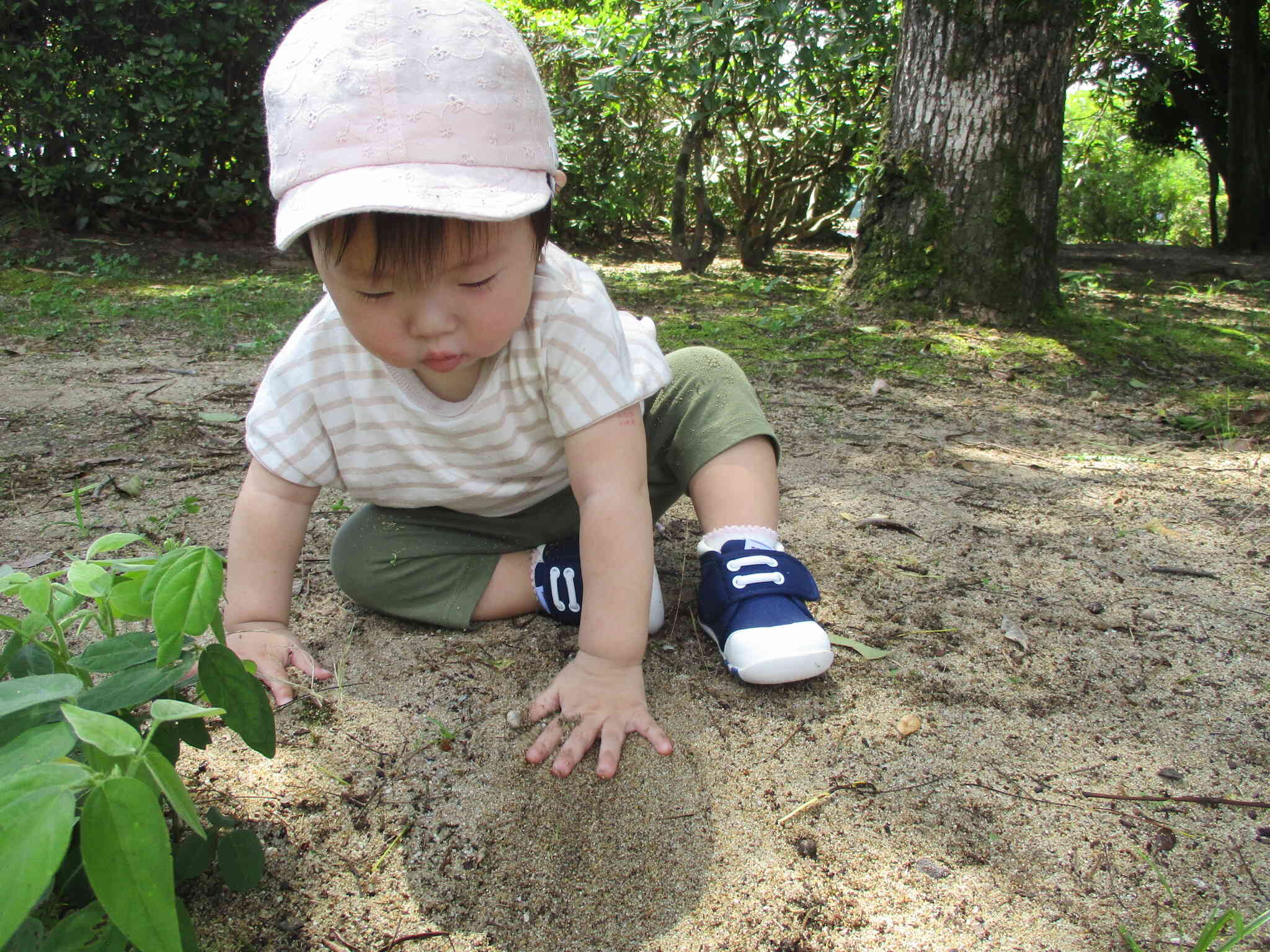 公園を探索中！