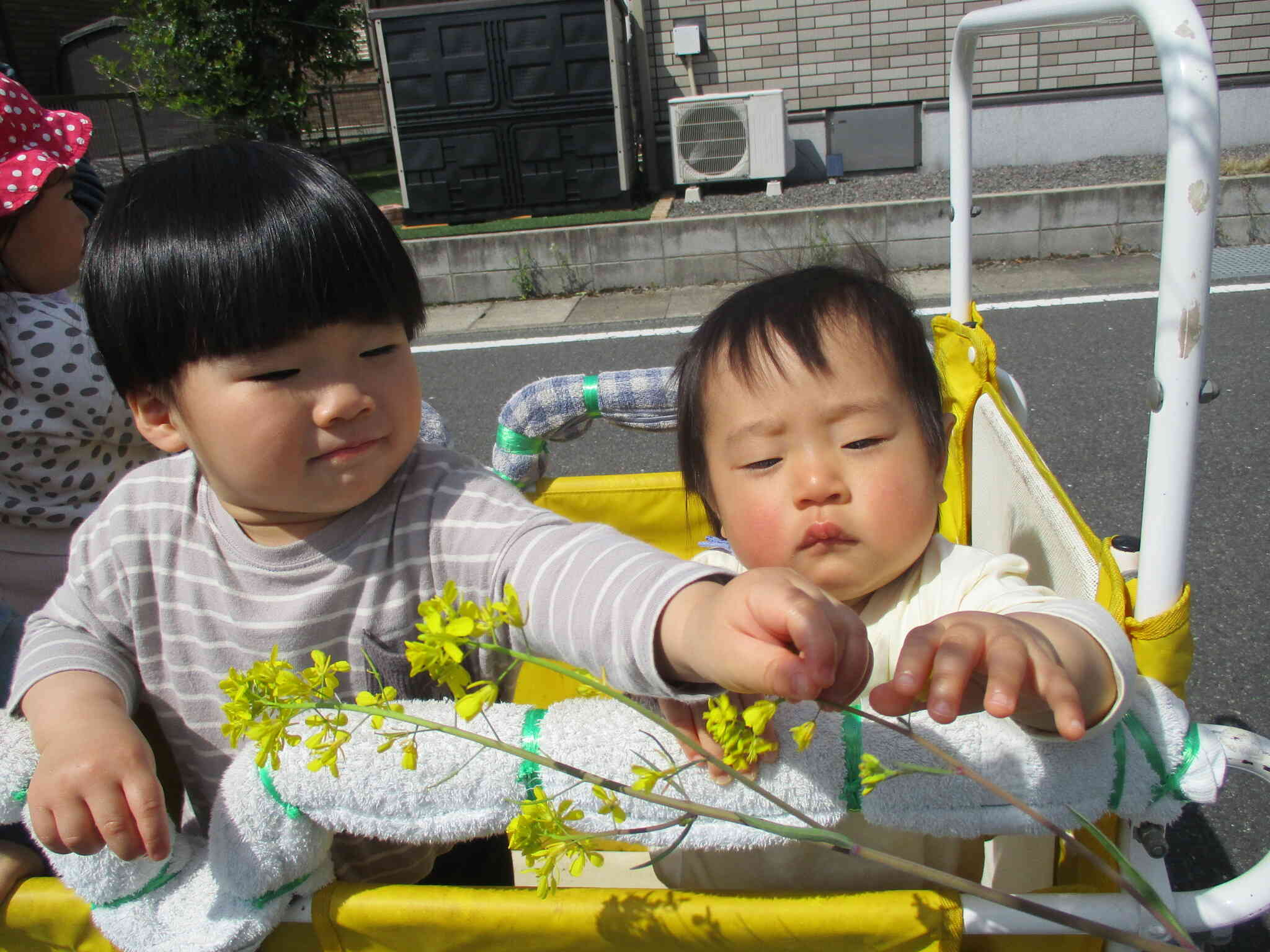 お散歩