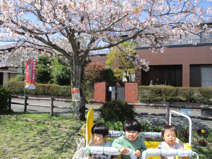 ぽかぽか陽気の記念写真