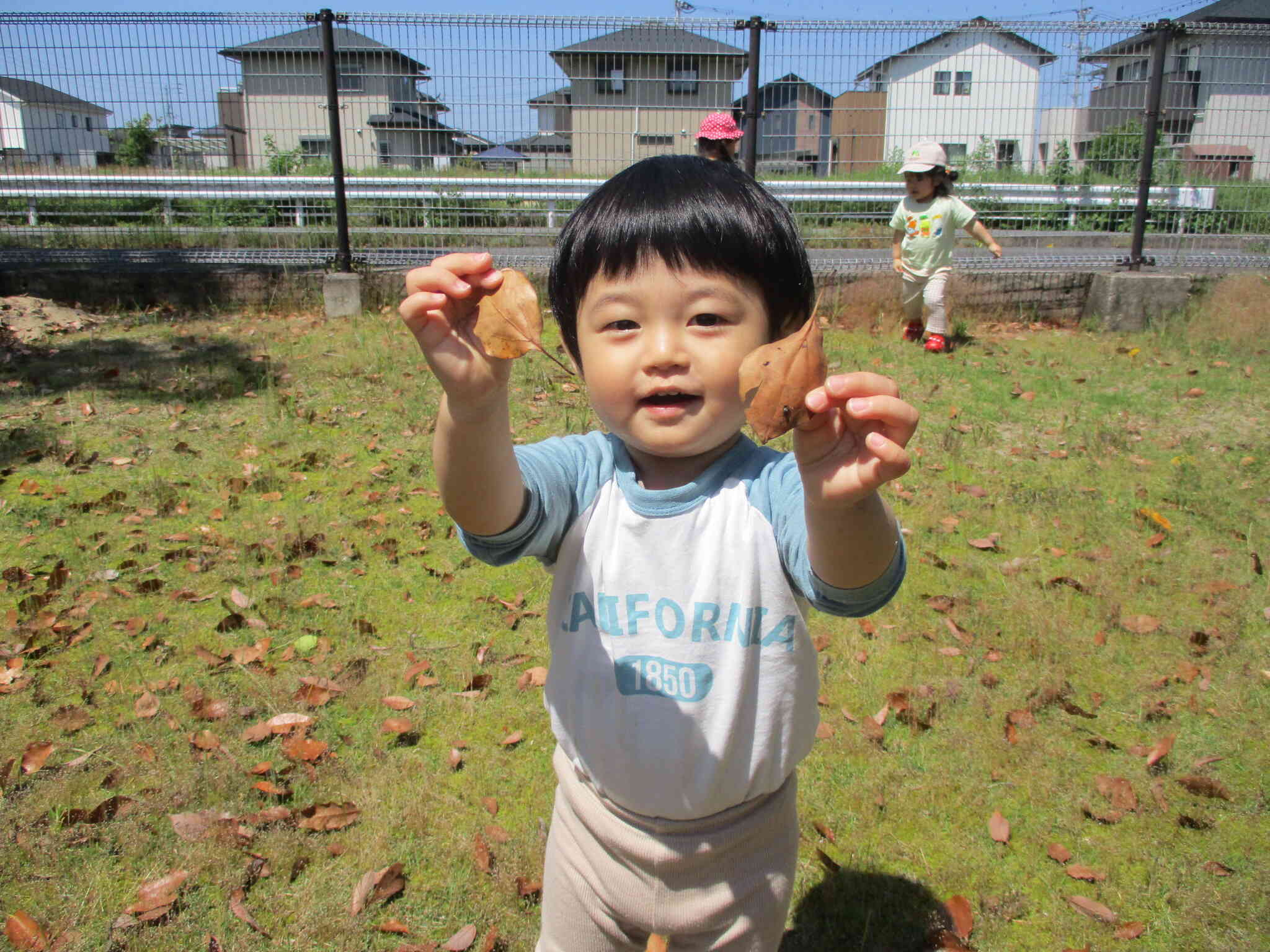 みてみて！葉っぱみつけたよ！