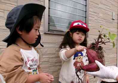 触り心地はどんな感じかな？