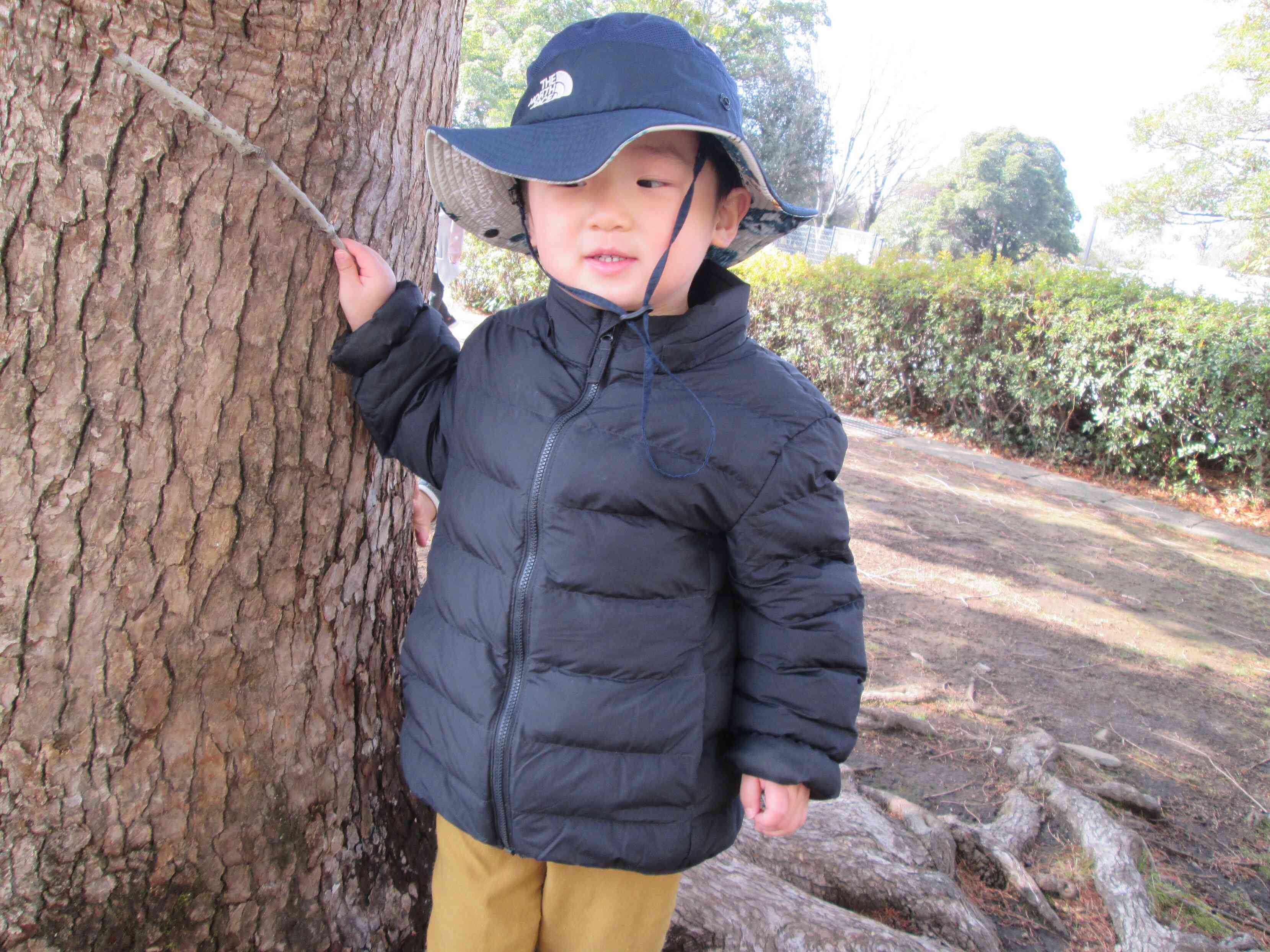 木の枝みつけたよ