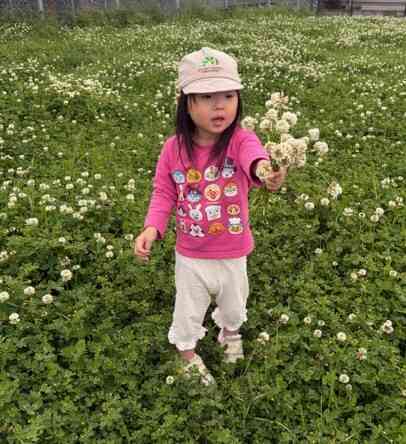 園周辺は自然が豊かで季節の植物に親しむことができます