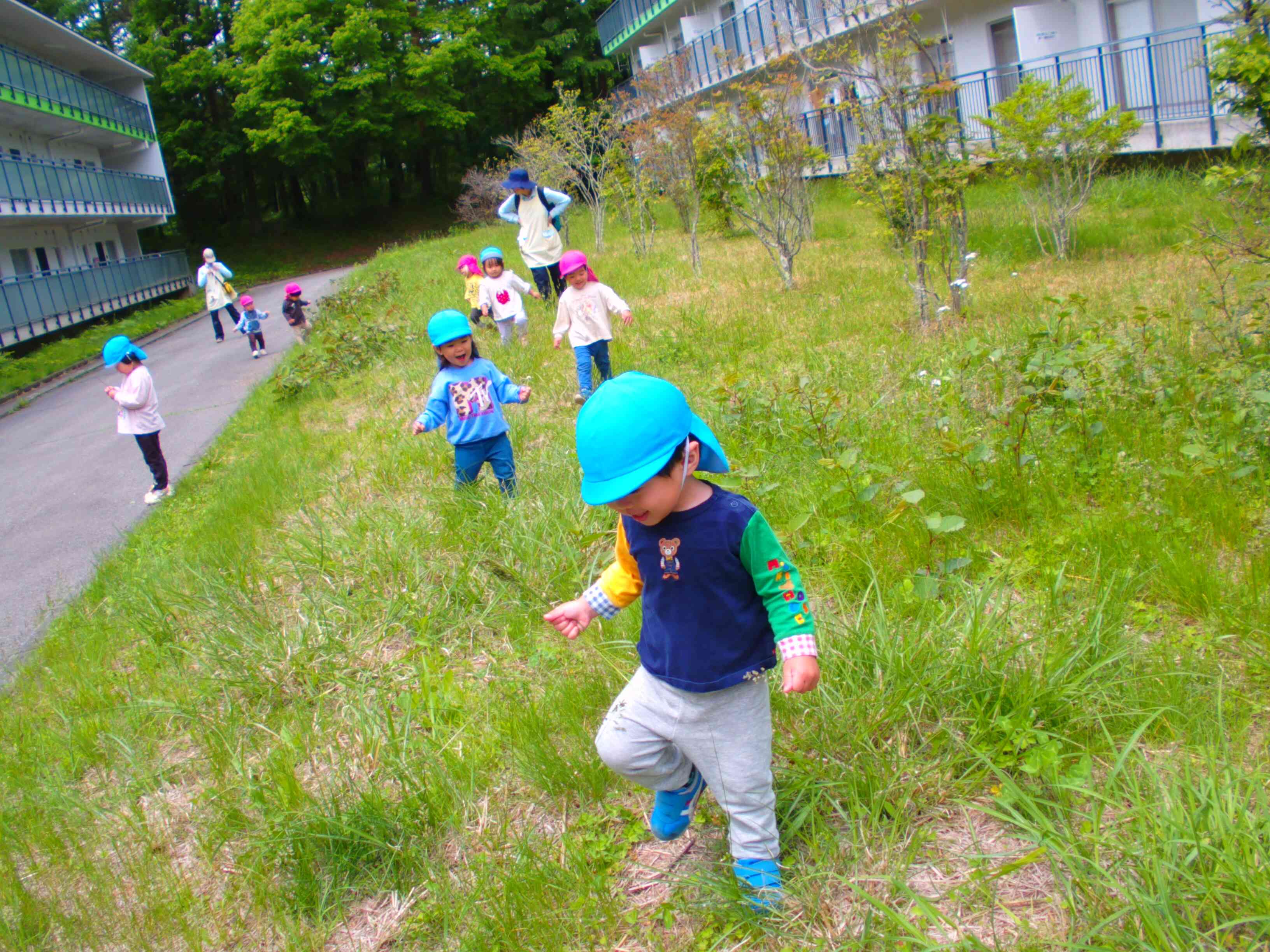 草むらも子どもたちにとっては楽しい遊び場です。