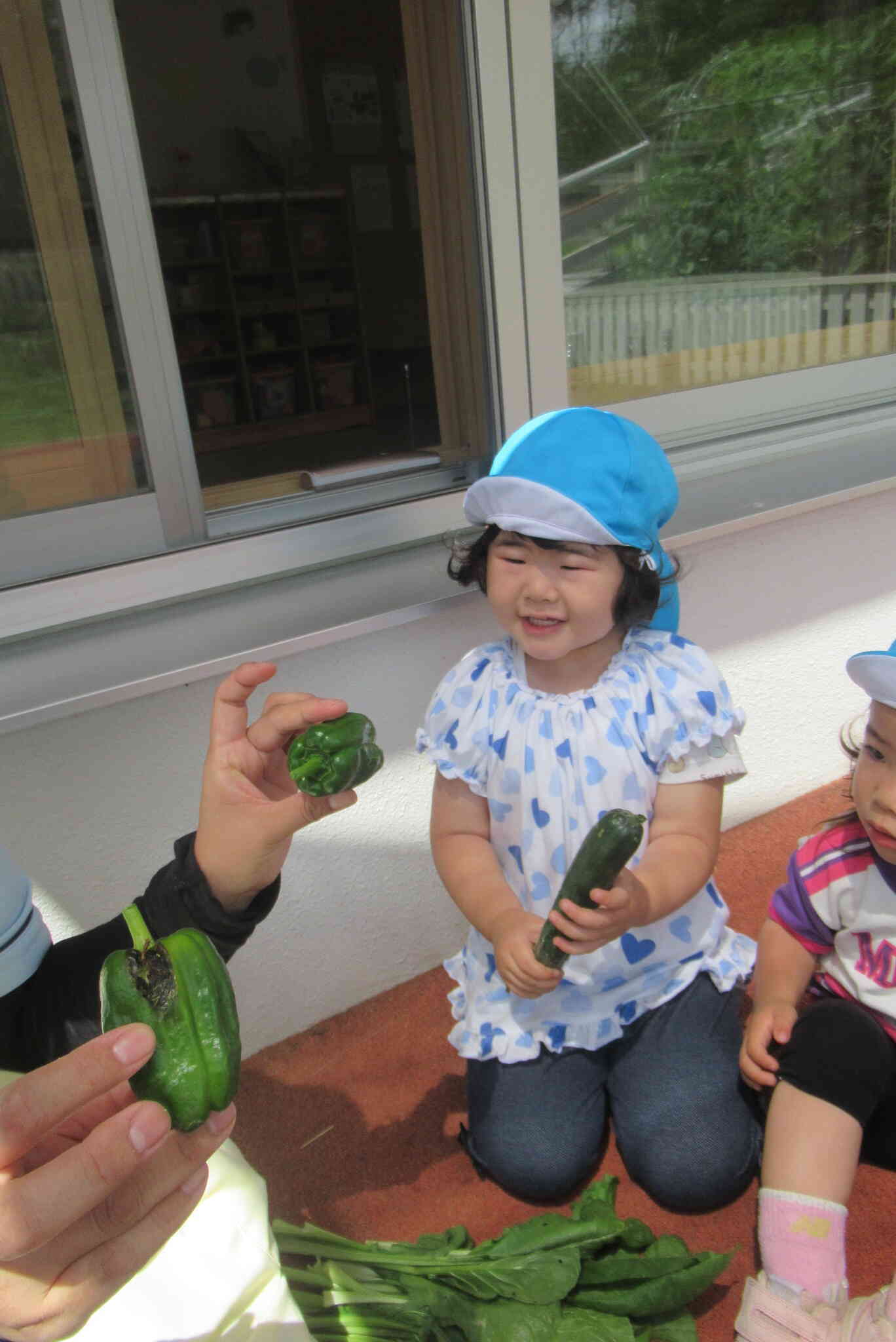 野菜がいっぱい収穫出来て、うれしいな～♪♪