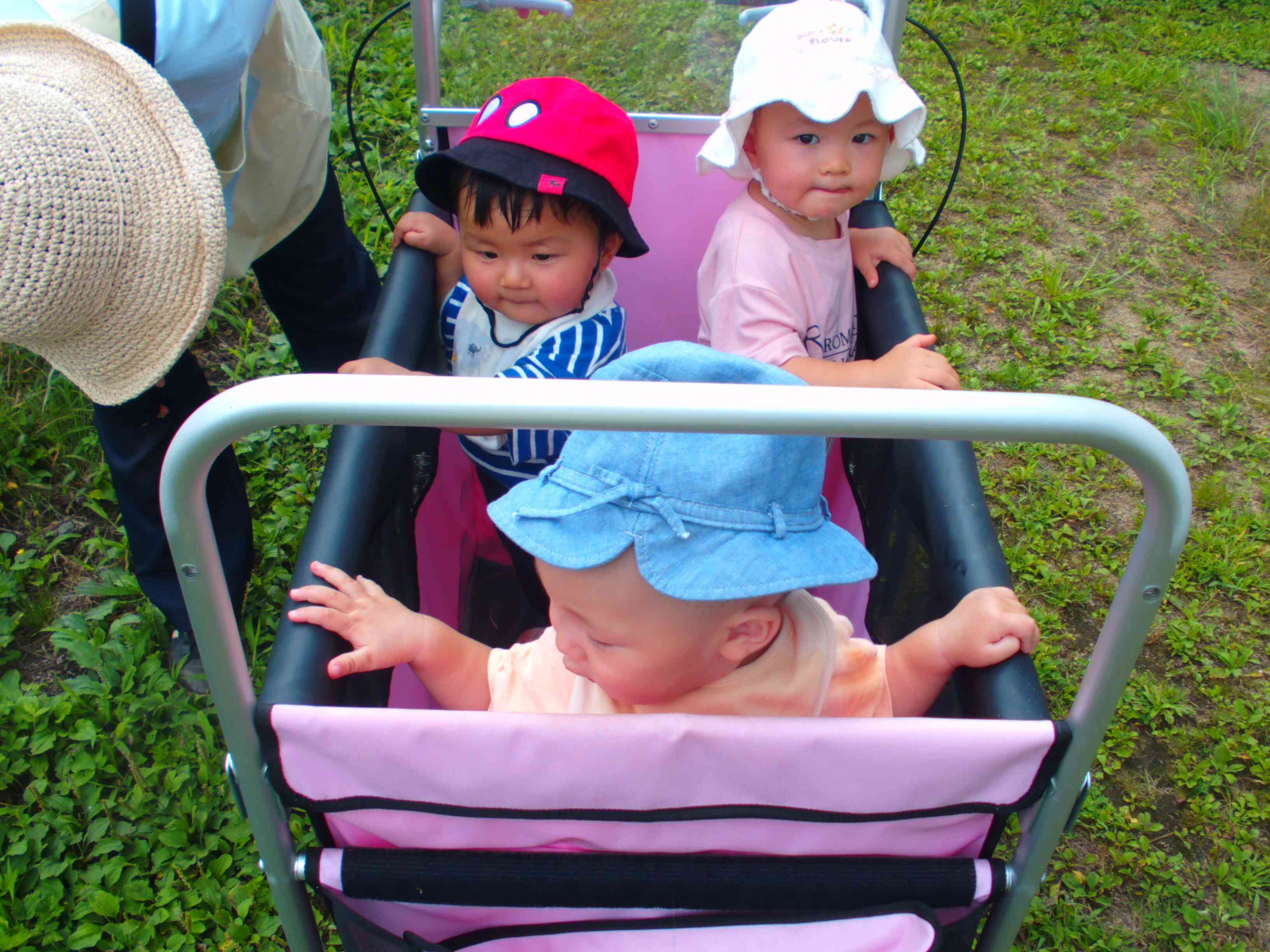 みんなでお散歩！