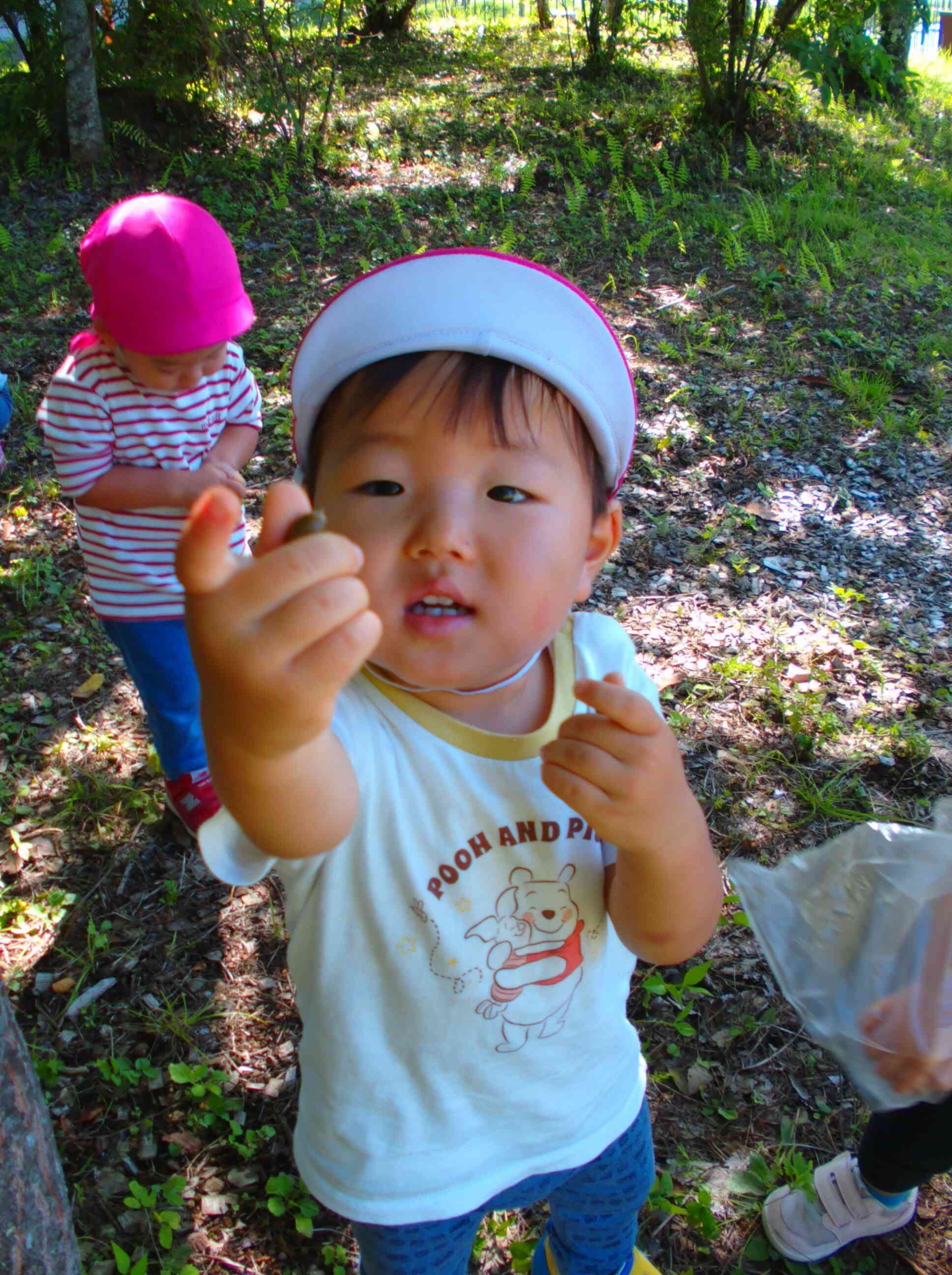 見てみて～　どんぐりあったよ！