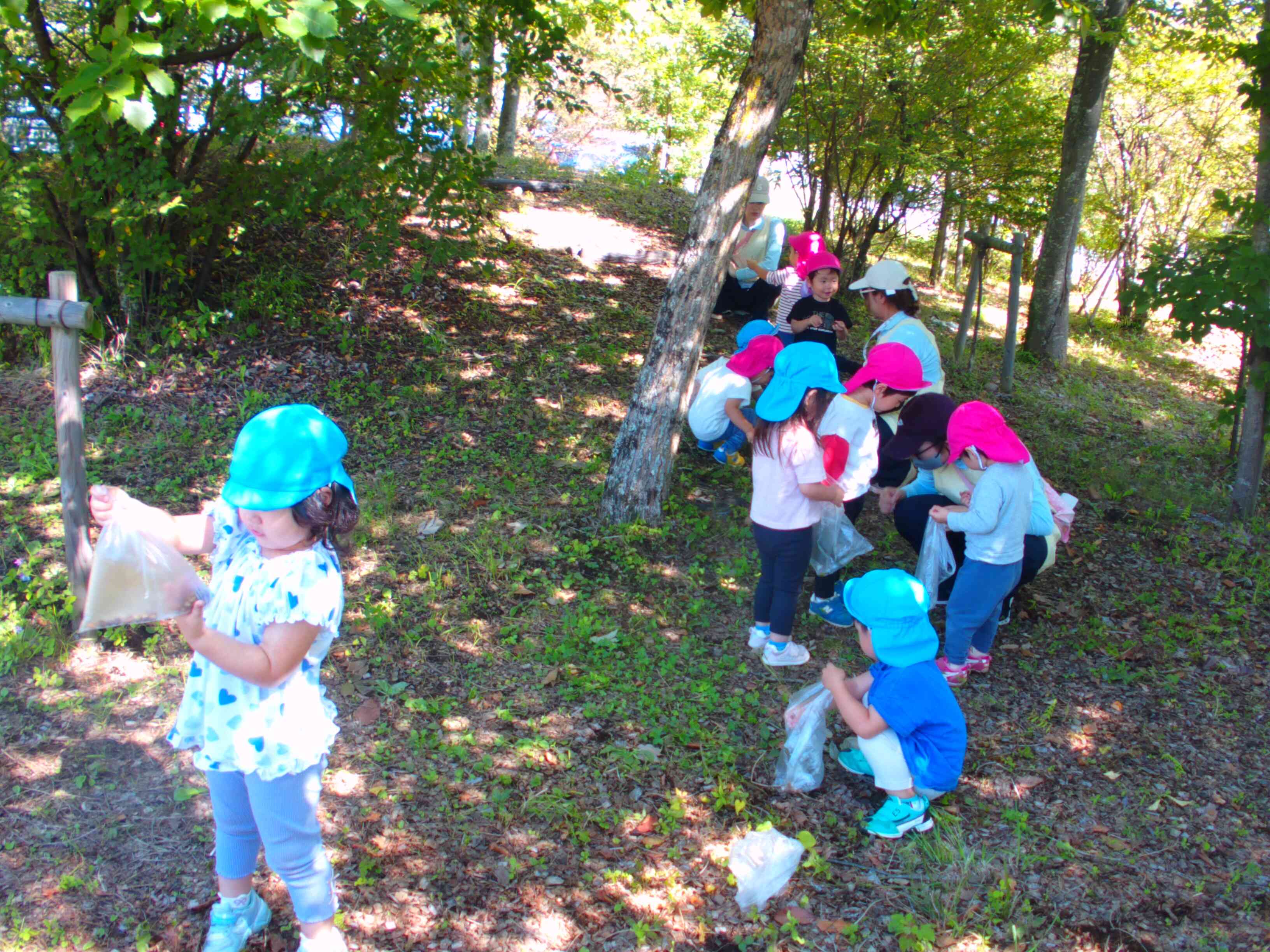 落ち葉やどんぐりが沢山落ちてるね