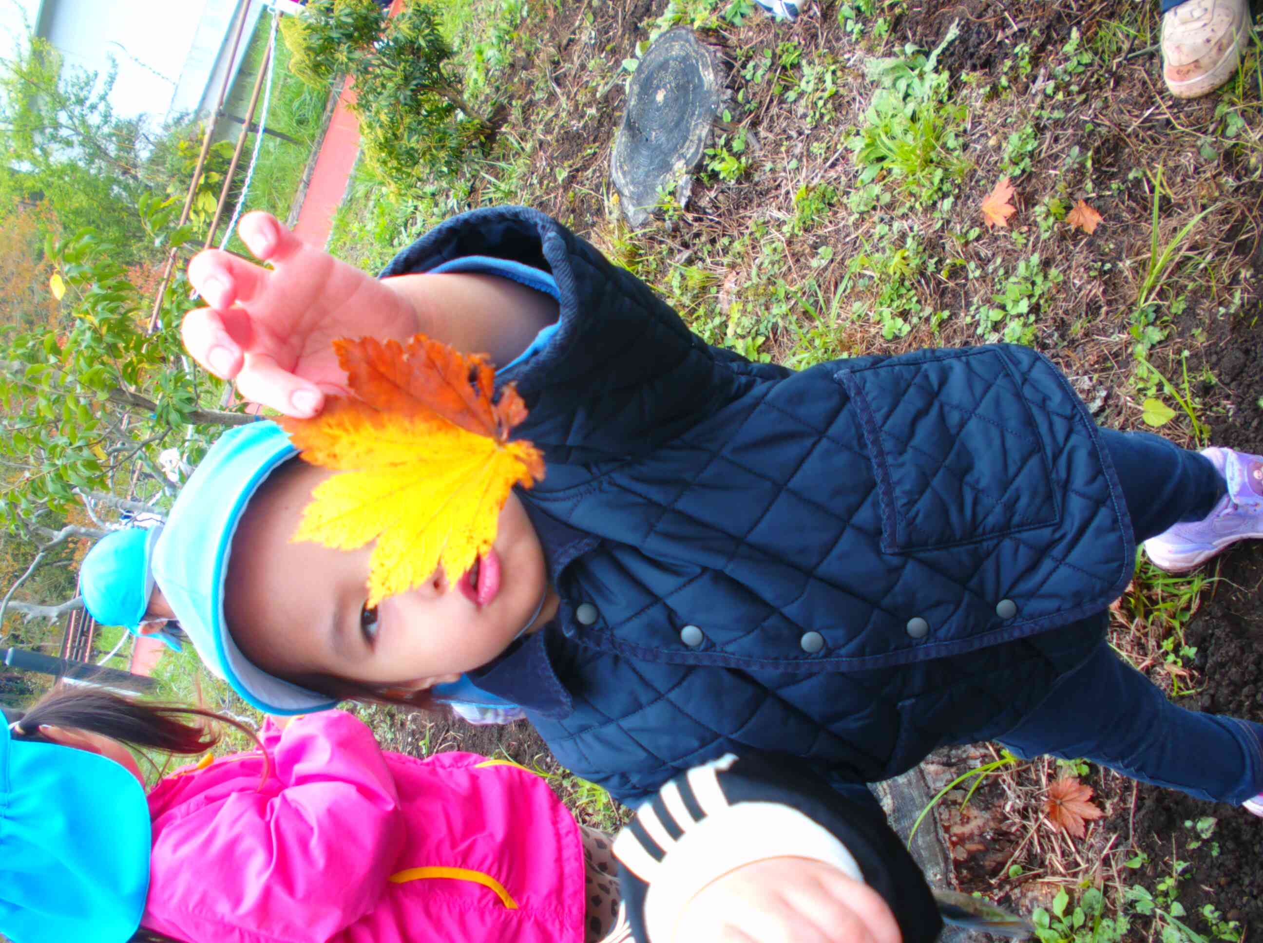 黄色いはっぱ見つけたよ