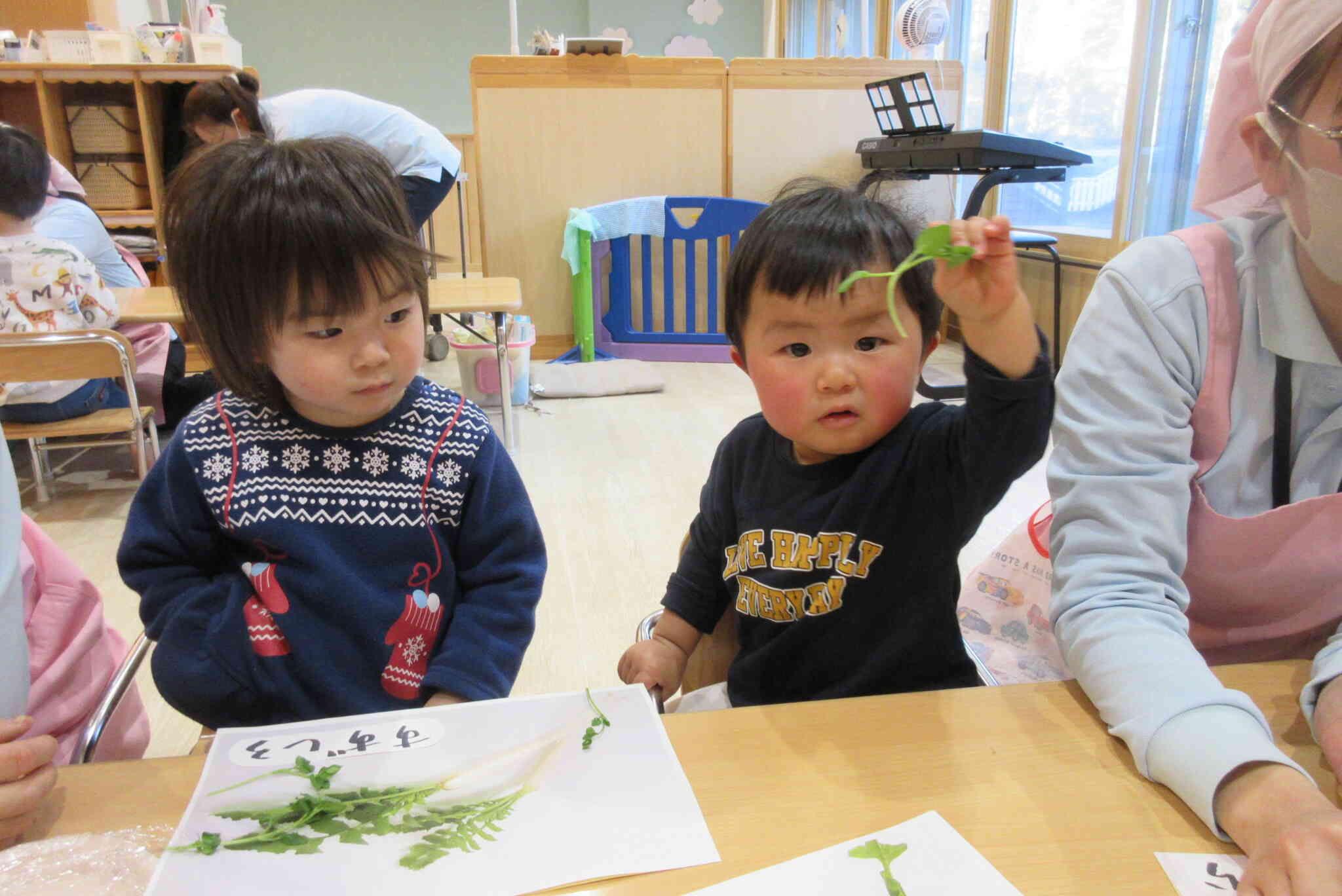 この七草は、なんだろう？