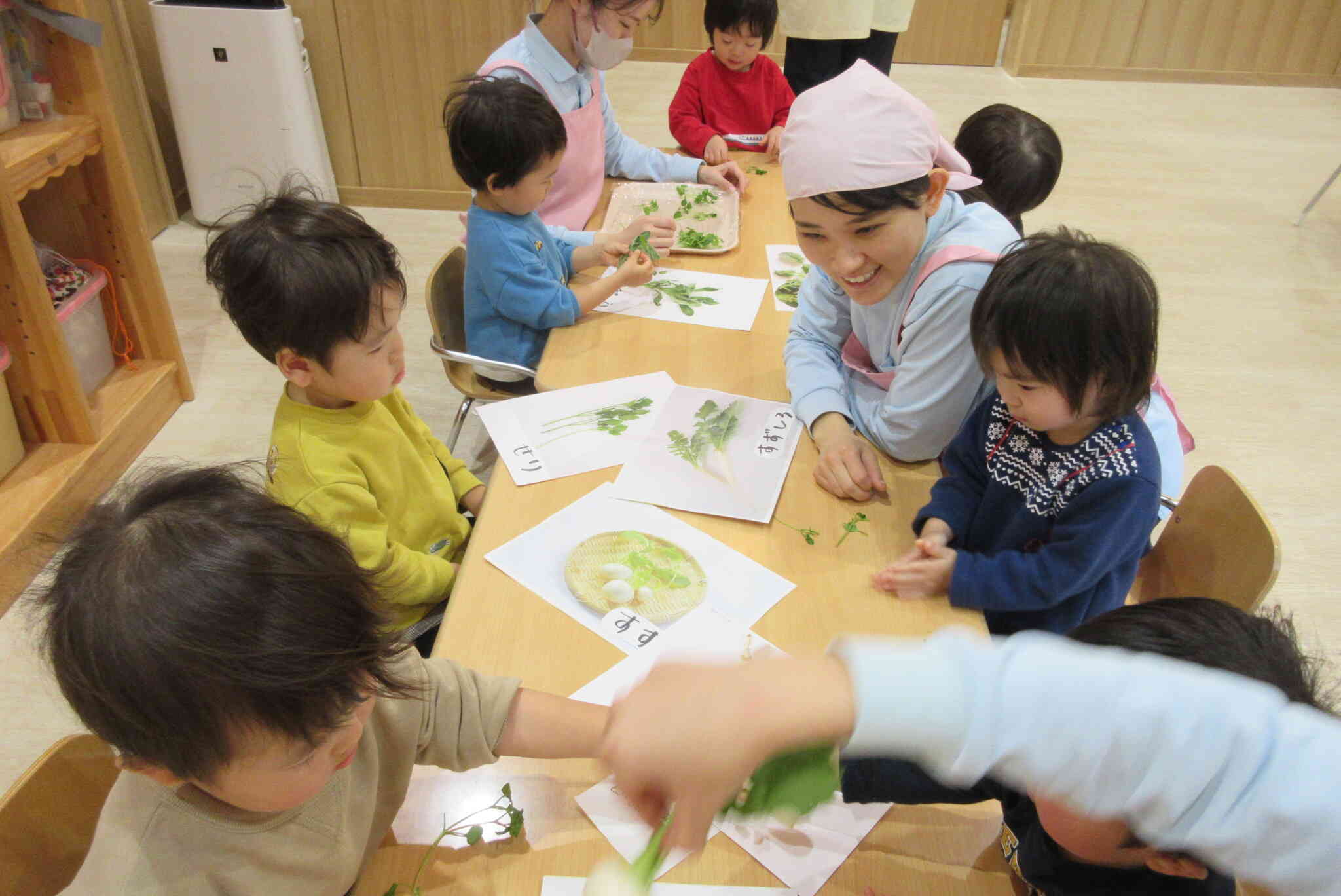 イラストと同じ七草はどれかな～？