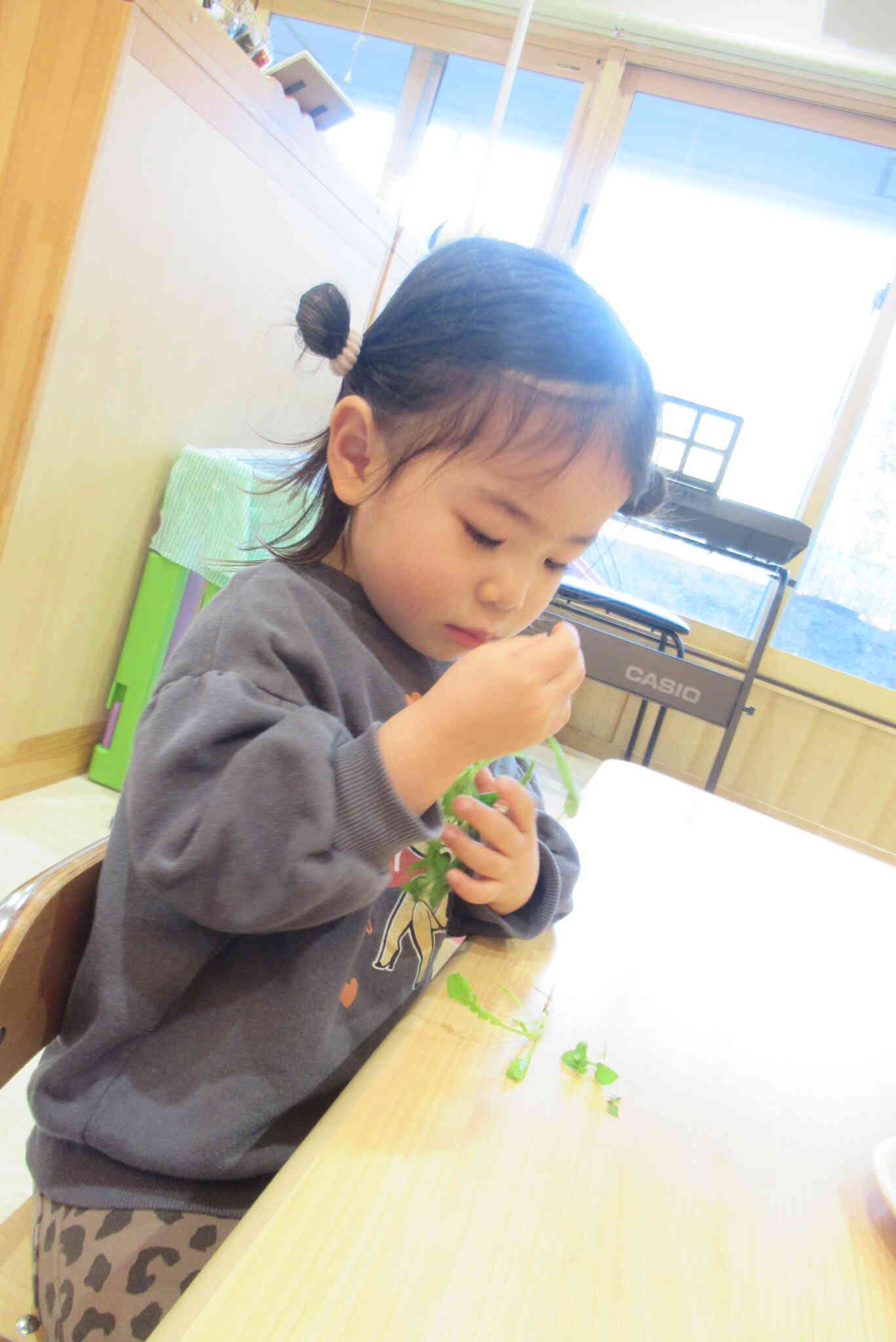 どんな匂いがするかな？