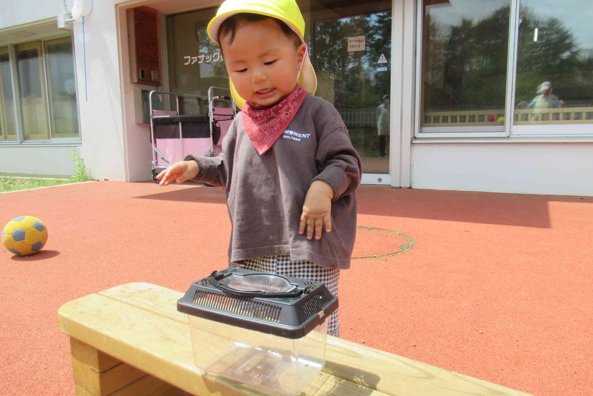 ちょうちょを見てパタパタ！