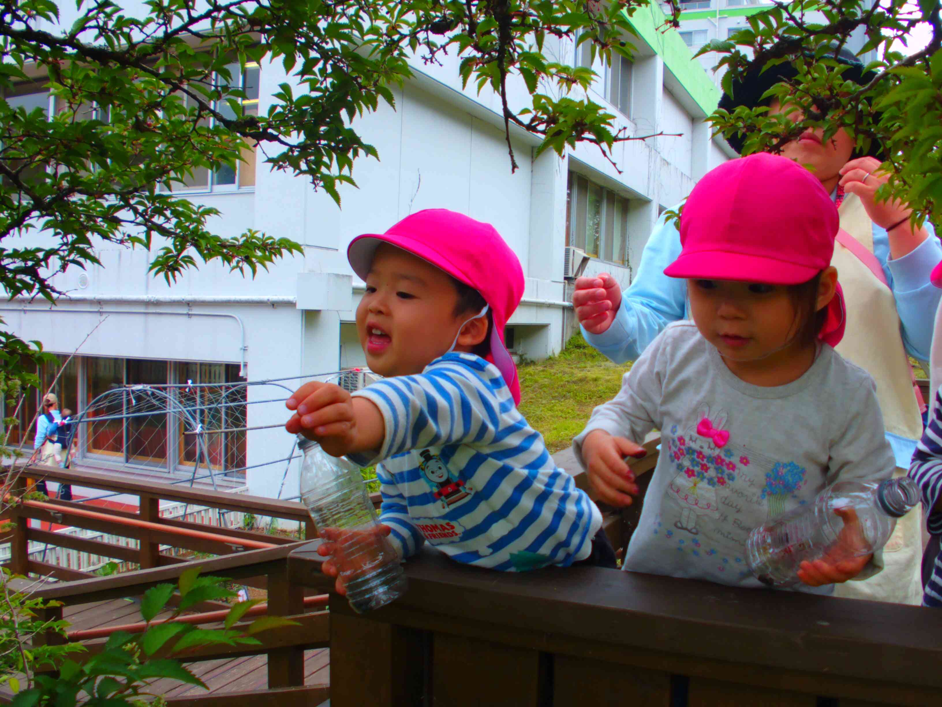 ここにも木の実があったよ
