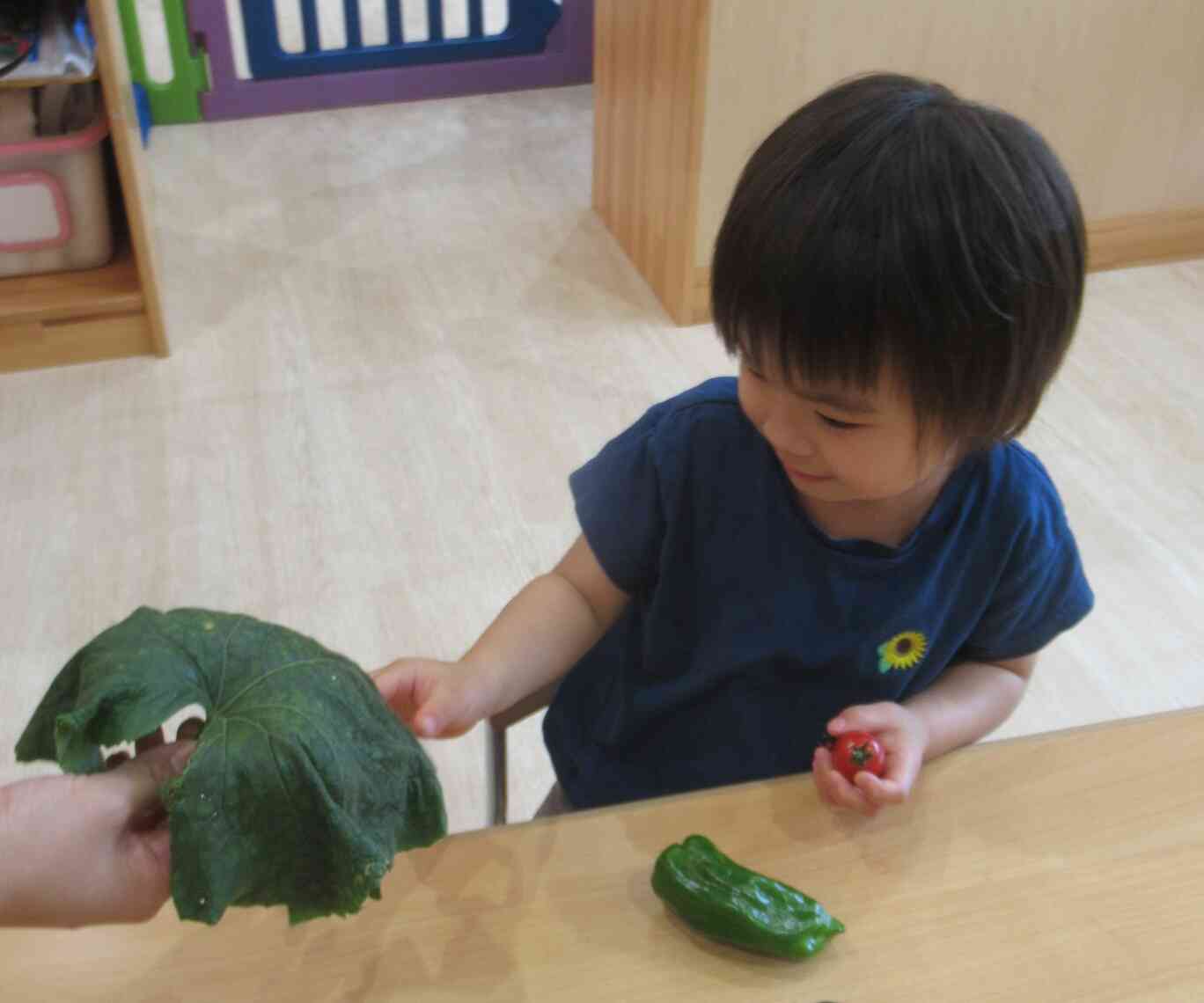 きゅりの葉っぱ、怖いけど触れたよ